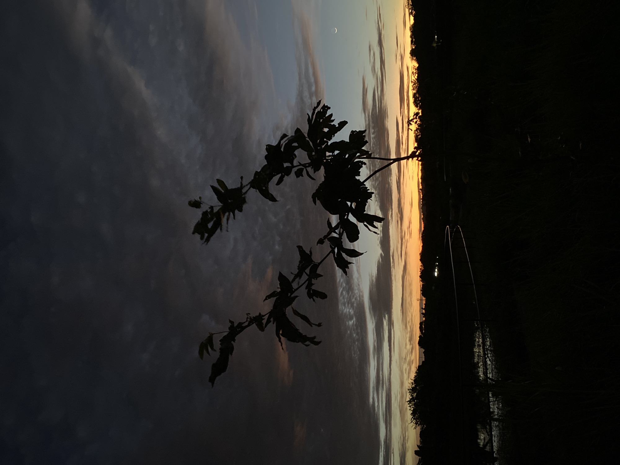 The image captures a silhouetted tree branch with leaves against a dramatic twilight sky. The sky displays a gradient of dark clouds, streaks of orange and pink from the setting sun, and a faint sliver of a crescent moon. The horizon is marked by a dark silhouette of trees and vegetation. In the foreground, there is a dark, possibly wet, surface, perhaps a body of water, and some tall grass. A metal railing or fence curves through the scene. Lights are visible in the distance along the horizon. This scene is suggestive of an outdoor location in Davao City, Philippines, possibly a park or a waterfront area, at dusk.