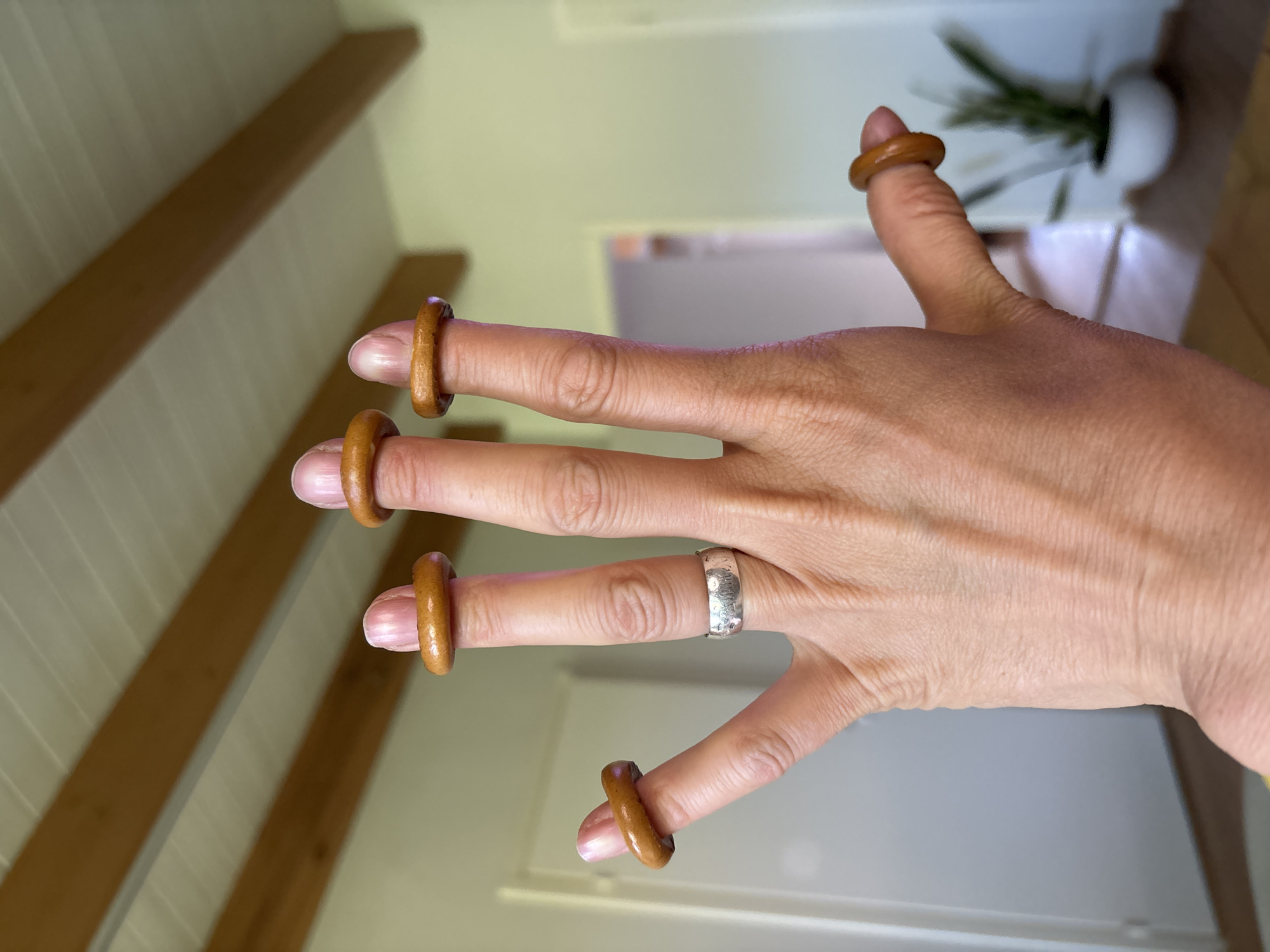 A hand with a silver ring on the ring finger has a ring-shaped object on each fingertip, including the thumb. The objects appear to be small, brown, and donut-shaped. The background includes a white door or wall and a plant in a white pot. There is no indication of the city of Chaikovsky, Russia.