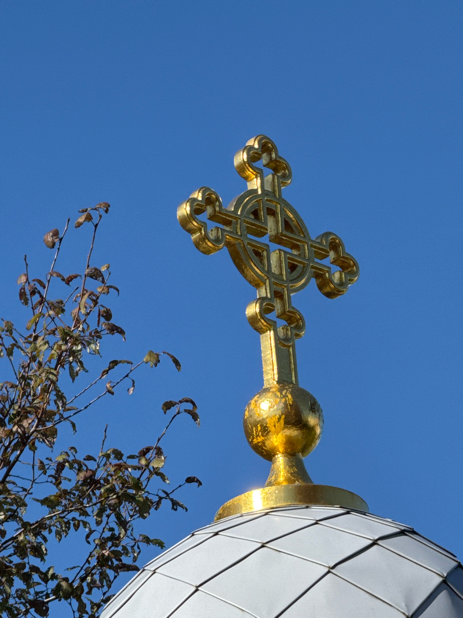 An extreme close-up, low-angle shot captures a golden Orthodox Christian cross atop a white-domed building against a clear blue sky. To the left, a small tree with sparse, brown-tinged leaves is visible. The cross is ornate, featuring a circular design with clover-like extensions at the ends of its horizontal and vertical bars. It is mounted on a golden orb which is itself placed on a golden base, which in turn sits on the curved, scaled surface of the building's dome. The building's dome appears to be made of metallic tiles. The lighting suggests a sunny day, highlighting the reflective surfaces of the golden cross and orb. The image is devoid of any people or animals. This is likely a detail from a church or cathedral in Saint Petersburg, Russia, known for its many Orthodox churches.