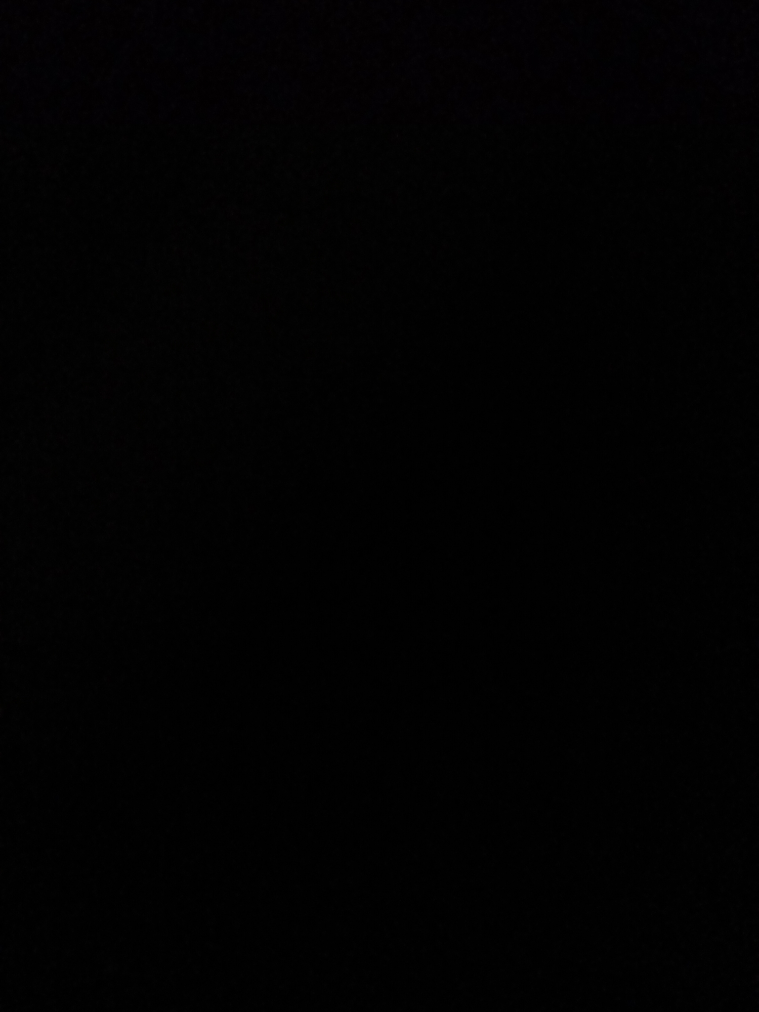 The image is a completely black rectangle, offering no discernible subjects, activity, notable details, or text. It is impossible to determine the scene, setting, time of day, weather, location, or emotions from this visual input.
