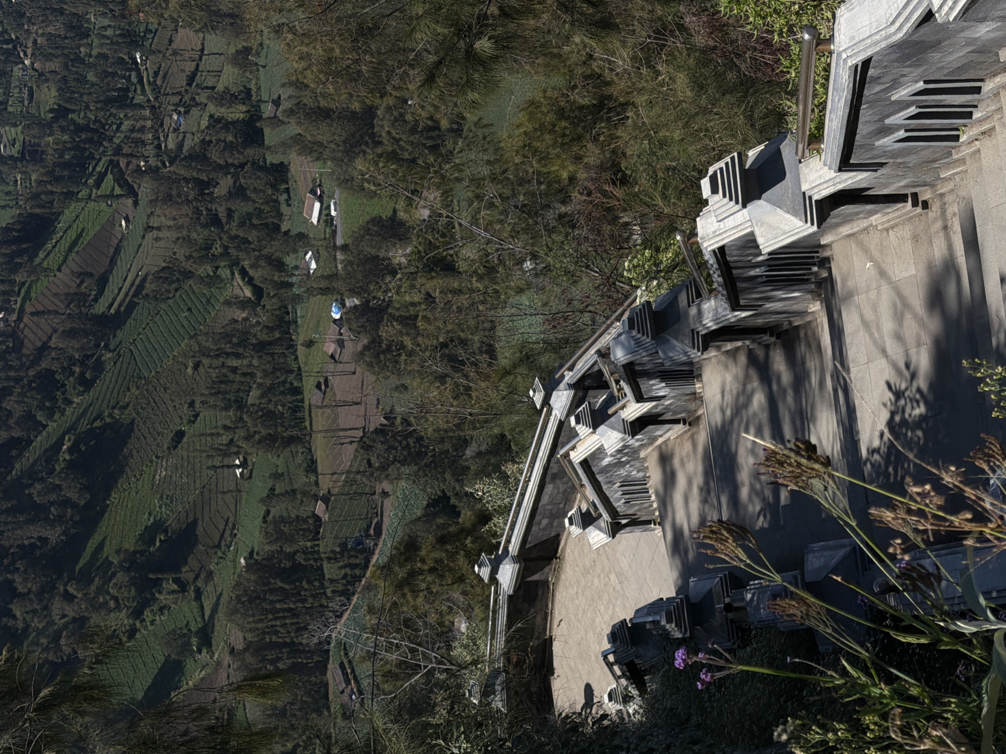 The image captures a high-angle view of a terraced landscape in Cemorolawang, Indonesia. In the foreground, a modern concrete stairway with metal railings descends, adorned with stacked grey tiles that create a geometric pattern. Small purple flowers bloom among the greenery and dry grasses near the bottom right. The middle ground features a lush, green terraced hillside, likely agricultural land, interspersed with dark trees. Several small structures, possibly houses or farm buildings with red or white roofs, are scattered across the terraces. The overall scene suggests a rural setting with evidence of human cultivation. The lighting indicates it is daytime, with clear sunlight casting shadows, particularly on the stairway. The composition emphasizes the contrast between the man-made structures and the natural environment.