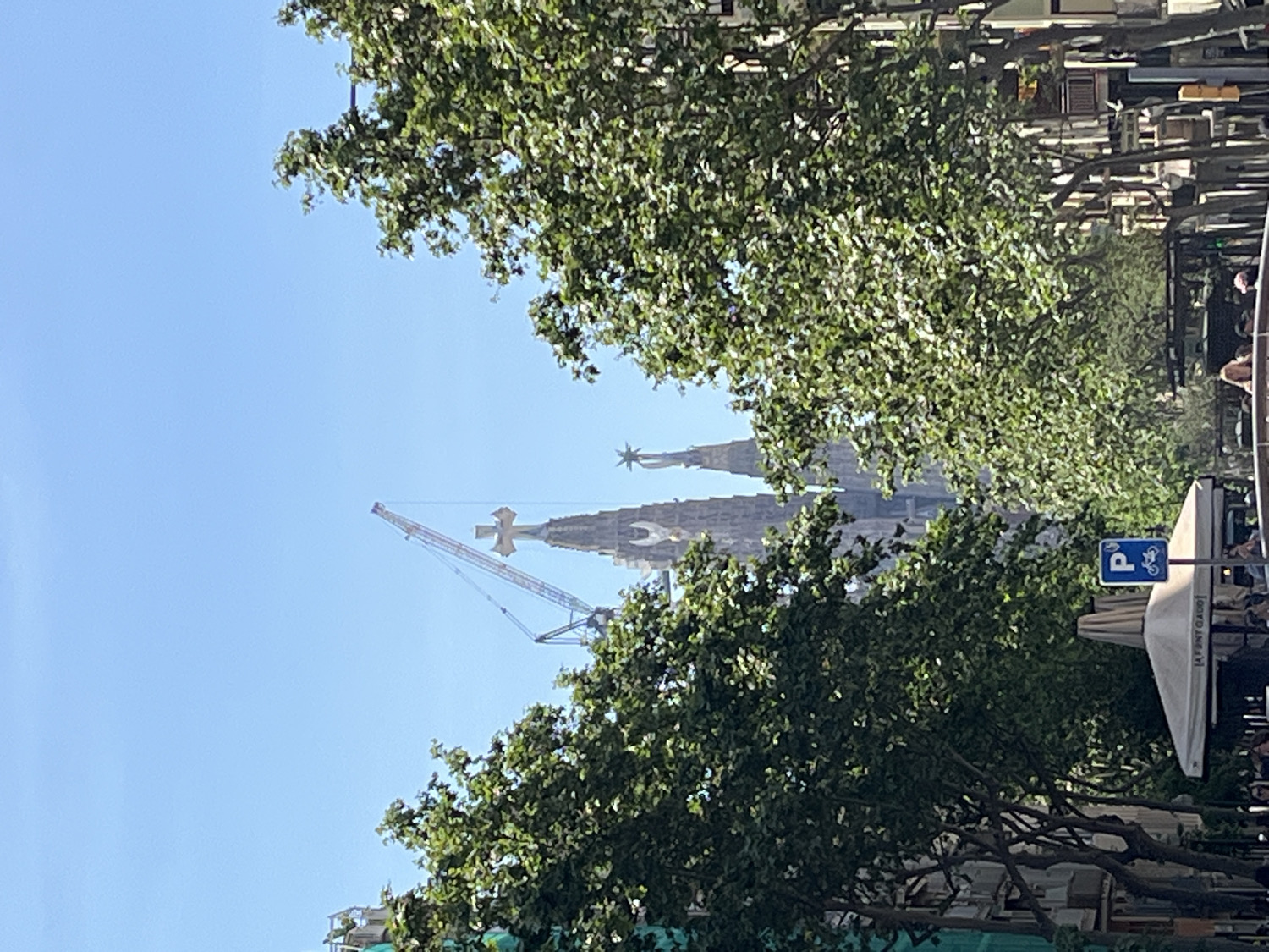 The image captures a partial, upward-looking view of the Sagrada Familia in Barcelona, Spain, seen through and above lush green trees under a clear blue sky. The distinctive spires and architectural details of the basilica are visible in the background, including a prominent cross on one tower and a star at the pinnacle of another, signifying ongoing construction or maintenance. A large construction crane is also clearly visible, positioned near the basilica's towers, further highlighting the continuous work on the landmark.
In the foreground and midground, dense foliage from deciduous trees frames the scene, with branches and leaves occupying the top, bottom, and right sections of the image. To the right, peeking from behind the trees, are elements of a street or plaza. A blue rectangular sign with a white 'P' and a bicycle symbol indicates a bicycle parking area. Below this sign, a white awning or parasol, possibly from a cafe or vendor, is partially visible. Beneath the awning, faint, blurry figures of people can be discerned, suggesting public activity. Partially visible text on the awning reads "A PUNT GAUDI".
The bright, clear blue sky and abundant natural light indicate a sunny daytime scene, likely morning or early afternoon. The overall setting is a vibrant urban environment, with the historic Sagrada Familia as the central focus, viewed from a tree-lined perspective.