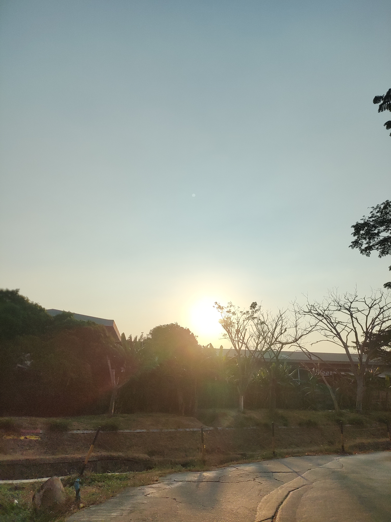 The image depicts a serene outdoor scene bathed in the warm glow of the setting sun. The sky is a soft gradient of pale blue and yellow, with a faint white circle representing the sun or moon visible in the upper portion. The foreground features a cracked asphalt road leading into the frame from the right, with a small patch of grass and a rock on the left. A low, earthen berm runs horizontally across the middle ground, separated by a thin wire fence. Beyond the berm, a cluster of trees and buildings are silhouetted against the bright sky. Some trees are full and green, while others are bare, their branches starkly outlined. The overall impression is one of quiet tranquility at the end of the day in Telagaasih, Indonesia.