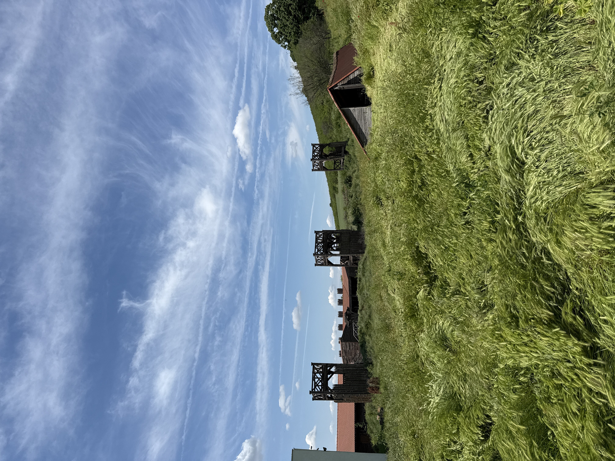 The image depicts the archaeological site of Kabile, Bulgaria. Three wooden watchtowers stand along a low hill covered in tall, green grass. Behind the towers are building ruins. Above, a blue sky is streaked with wispy clouds and airplane contrails. A small patch of trees is seen on the hilltop.