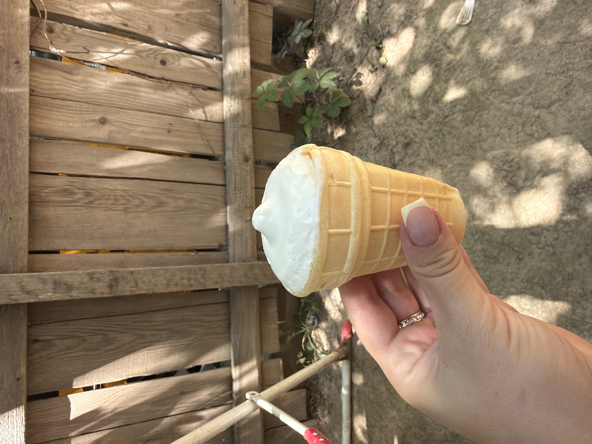 A person's hand holds an ice cream cone in the foreground. The hand is fair-skinned with manicured nails and a ring with small stones on the index finger. The ice cream cone is a light tan color with a waffle pattern and is filled with white ice cream. In the background, a weathered wooden fence runs horizontally across the frame. Beyond the fence, there is dirt ground with some sparse green plants and foliage. A tool with a red handle and white pole is leaning against the fence on the left side of the image. The lighting suggests it is daytime with sunlight casting shadows. The location is specified as the city of Shymkent, Kazakhstan.