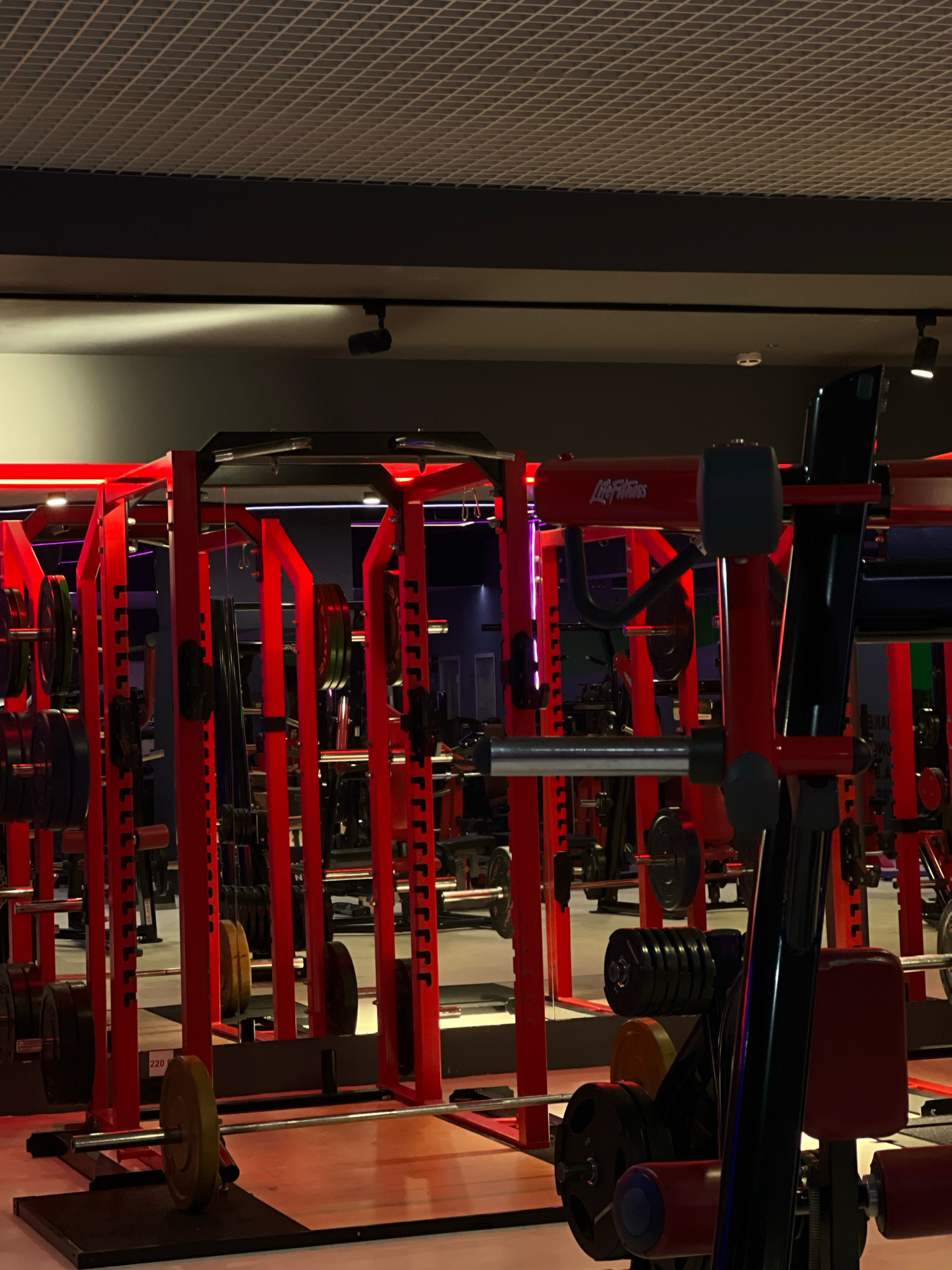 This is a detailed, forensic, matter-of-fact description of the provided image.
The image depicts the interior of a gym, specifically a weightlifting area. The dominant color scheme is red and black, with bright red metal frames for weight racks and equipment. Numerous weight plates, some black and some yellow, are stacked on the racks and a barbell is set up on a wooden platform in the foreground, with a yellow weight plate attached to one end. The ceiling features a grid-like structure with recessed lighting. In the background, more gym equipment is visible, including what appear to be leg press machines and other weight training apparatuses. There are no people visible in the image. The overall impression is of a well-equipped, modern fitness facility.
No specific location in Krasnoyarsk, Russia can be determined from the visual information in the image alone.