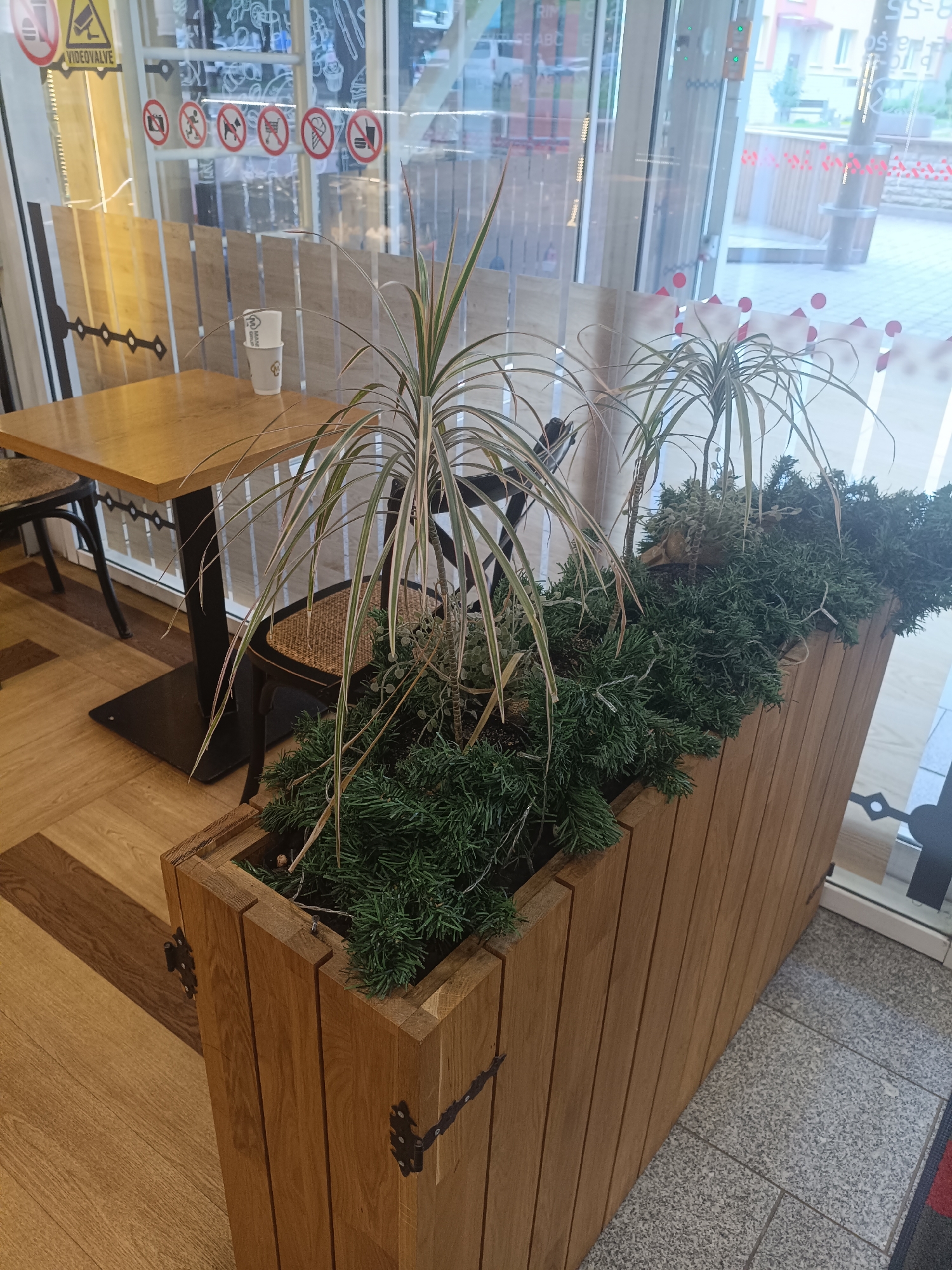 A wooden planter box filled with green foliage and a decorative plant is positioned next to a glass door of a building. Inside the building, a wooden table with two chairs is visible. The floor inside is wood, while the floor outside is tiled. The scene is located in Narva, Estonia.