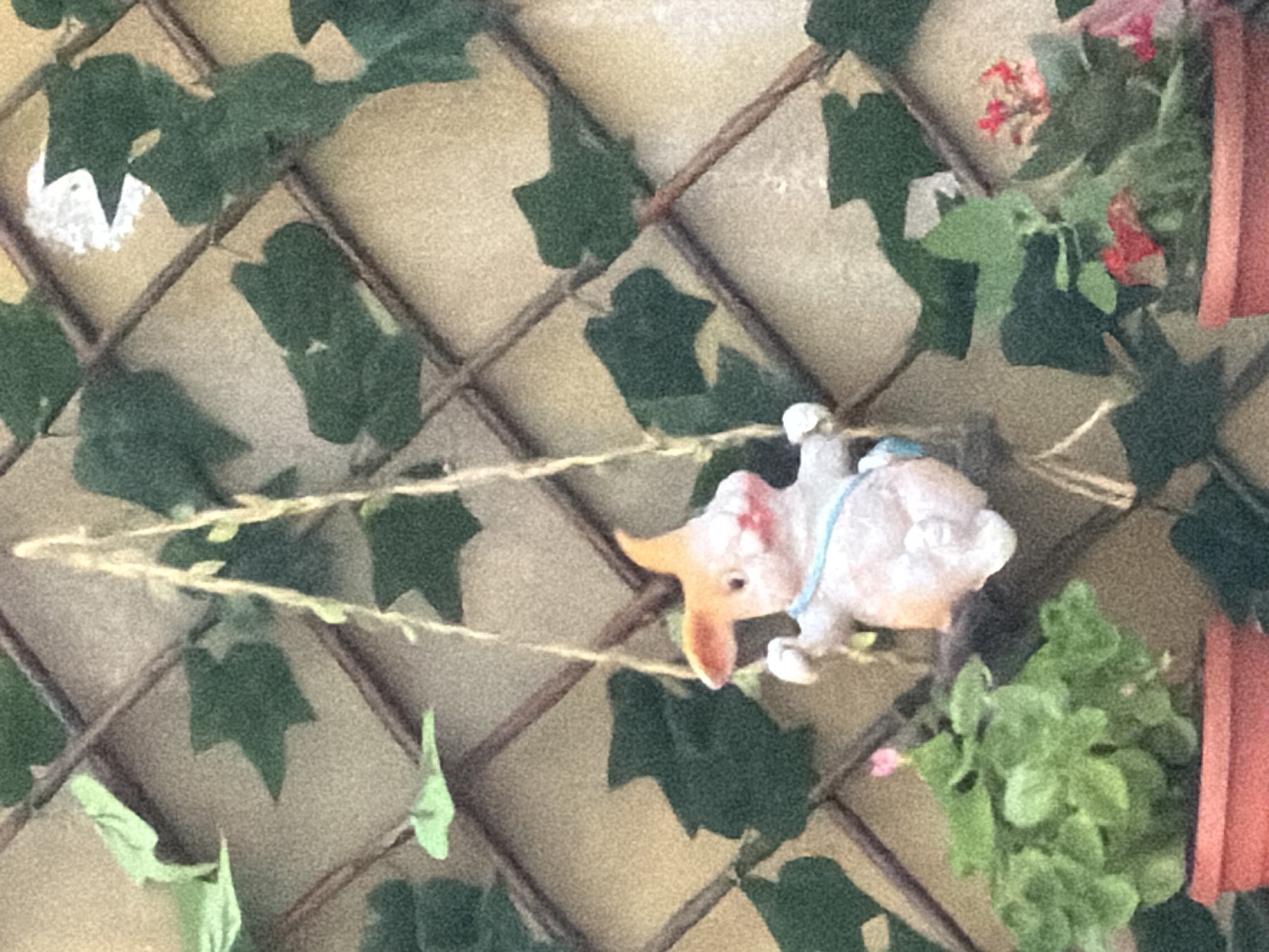 An outdoor decorative scene features a small ceramic bunny figurine suspended by twine from a trellis adorned with artificial ivy leaves. The bunny, predominantly white with pink accents and wearing a blue collar, is depicted in a swinging pose. Below the bunny, to the left, a potted plant with green leaves and a single pink flower is visible. To the right, another potted plant with green leaves and small red flowers is present. The background consists of a textured wall behind the trellis. The scene is likely located in a garden or balcony setting in Sofia, Bulgaria.
