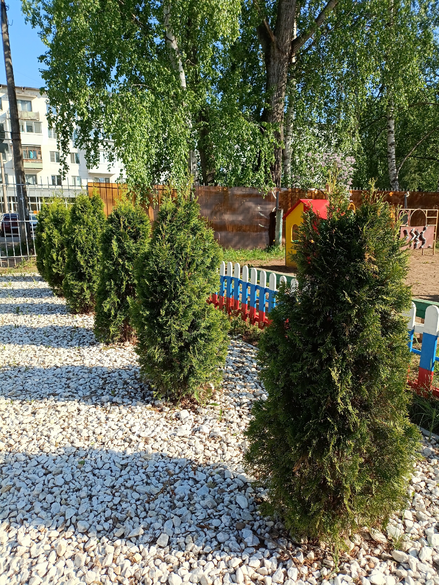 The image depicts a row of small, conical evergreen trees, possibly Thuja occidentalis 'Smaragd' or similar cultivars, planted in a bed of white gravel. The location appears to be a park or garden setting in the city of Chaikovsky, Russia, as indicated by the metadata.
In the background, there is a brown, solid fence and a playground structure with a small house painted in primary colors. To the left, a multi-story building is visible, along with a metal fence and parked cars, suggesting an urban or suburban setting. The sky is blue and sunny, with shadows cast across the gravel, indicating bright daylight. The overall impression is a well-maintained green space within an urban area.