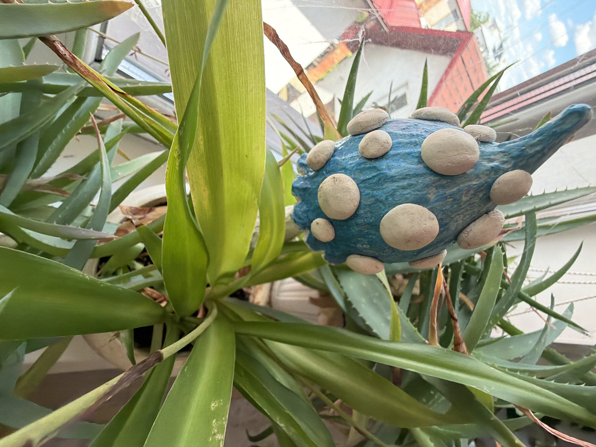 An overhead shot looks down on a blue gourd-shaped ornament adorned with light-colored stones, hanging in front of a window. The ornament is suspended by a thin white string, not visible in full. Behind the ornament, a cluster of aloe vera plants with thick, green, spiky leaves fills the frame. The window reveals a blurred view of red-tiled roofs and white buildings, suggesting an urban setting. The lighting is natural, with some dappled light falling on the plants.