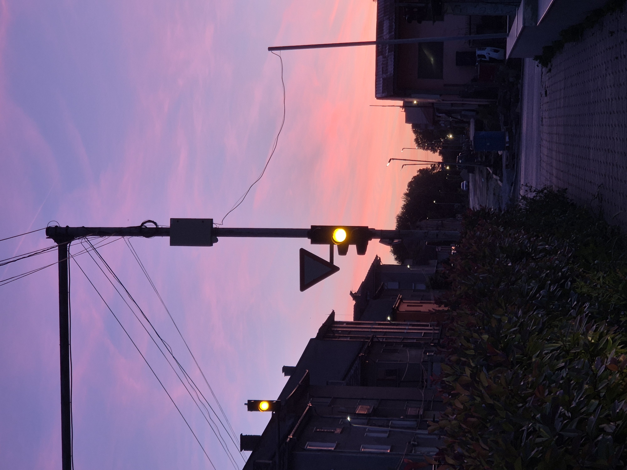 The image shows a street scene in Pavlikeni, Bulgaria at dusk. The sky is a gradient of pink and purple. A traffic light shows a yellow light. A yield sign is present. Buildings line the street, and streetlights illuminate the scene in the distance. Wires stretch across the sky from a pole. Vegetation is visible on the right side of the frame.