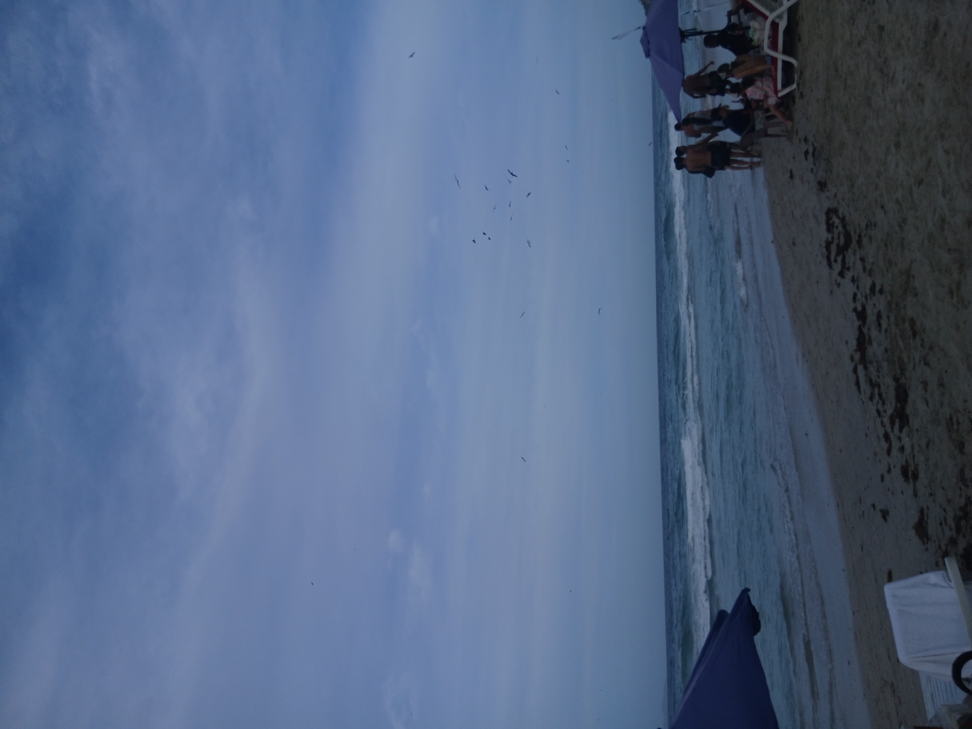 The scene is a coastal view at Playa Parguito, Venezuela. The focus is on the beach and the sky. A group of people are on the beach interacting near beach umbrellas and chairs. In the sky, several birds are flying. The sky is light blue with some wispy clouds. The ocean has small waves visible. The sand on the beach is light-colored, with some darker patches possibly from seaweed or debris.