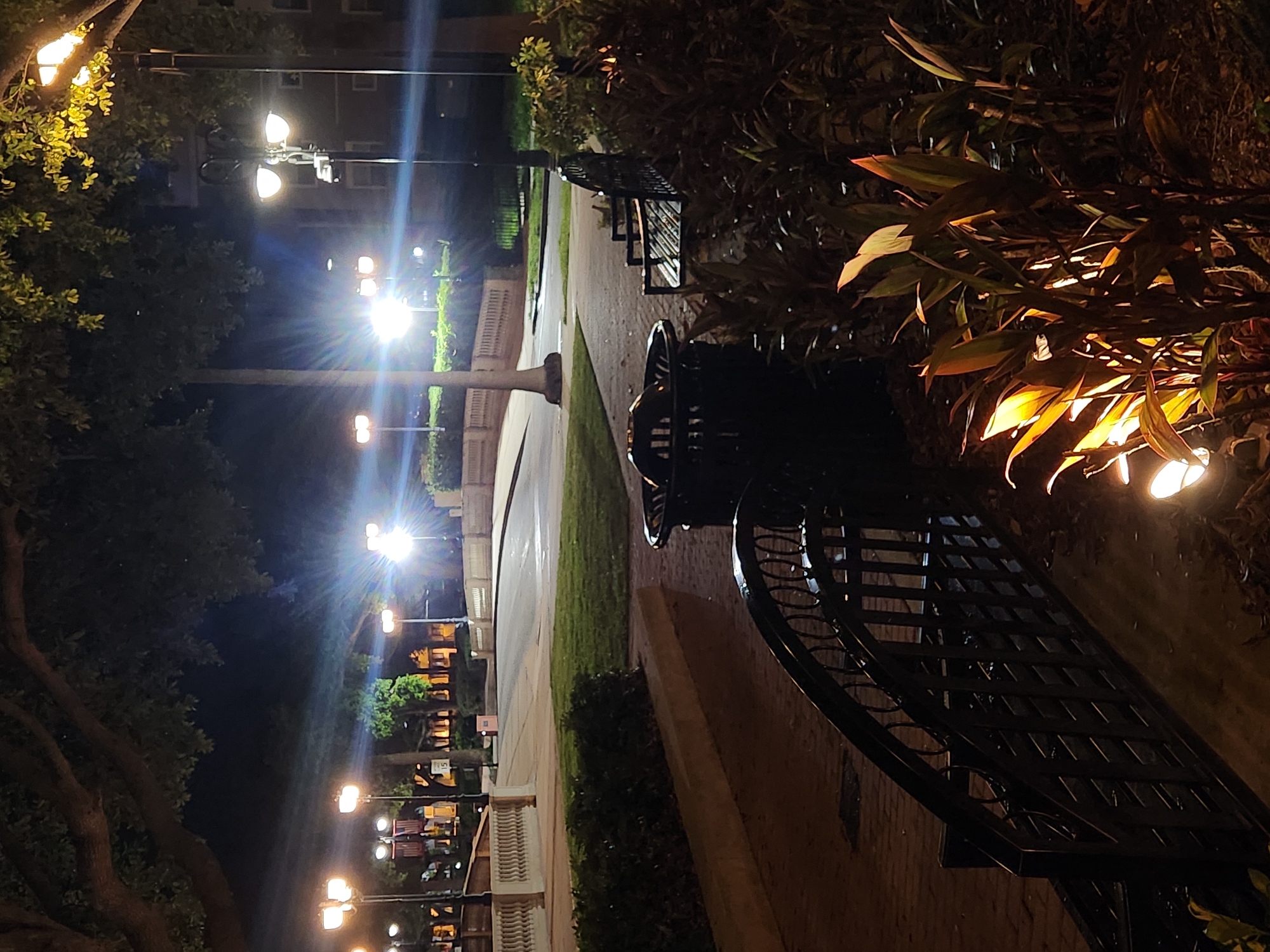 The image depicts a nighttime scene in a park-like setting, likely within the city of Altamonte Springs, United States of America. The foreground features a black ornamental metal fence and lush green plants illuminated by a low-lying light fixture, casting warm tones on the foliage. To the right, a black park bench is visible, situated beside a dark-colored trash receptacle. Beyond this, a paved walkway leads to a street or road, lined with decorative white railings on one side and trees on the other. Multiple streetlights with a warm glow are scattered throughout the scene, illuminating the pathway and surrounding area, creating lens flare effects. The background shows buildings and more trees, all under the dark night sky.