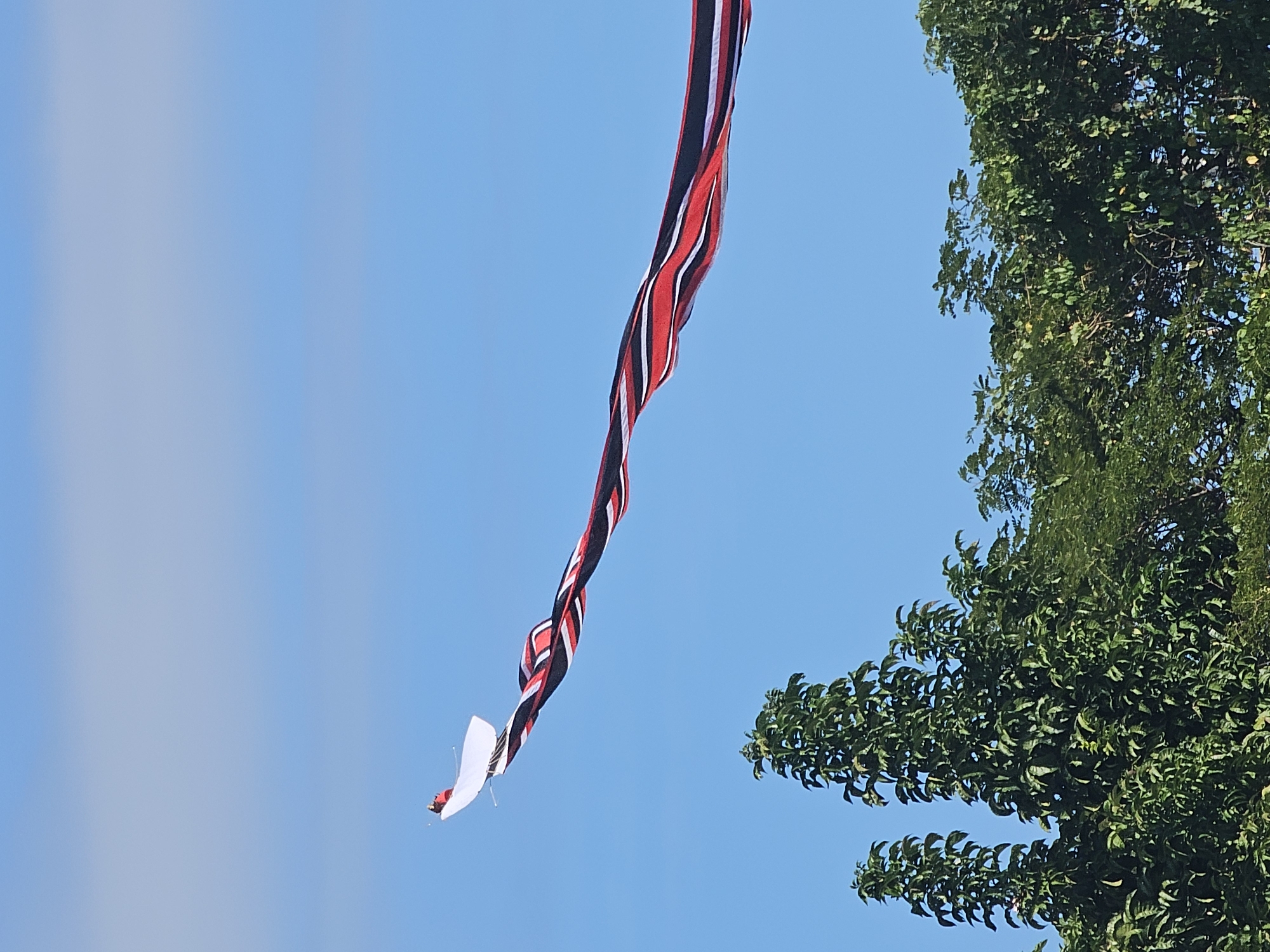 The image is taken outdoors under a clear, blue sky in what appears to be Denpasar, Indonesia. A long, narrow pennant or flag hangs vertically in the air, stretching from the top of the frame toward the bottom. The flag is striped with a repeating pattern of red, black, and white. It is twisted and flowing in the wind, giving it a dynamic, curved shape. At the bottom of the flag is a white, kite-like element with angular features. To the right of the flag, a large, leafy tree fills part of the frame. The tree's leaves are a rich green color, providing a contrast to the blue sky and the patterned flag. The scene is static.