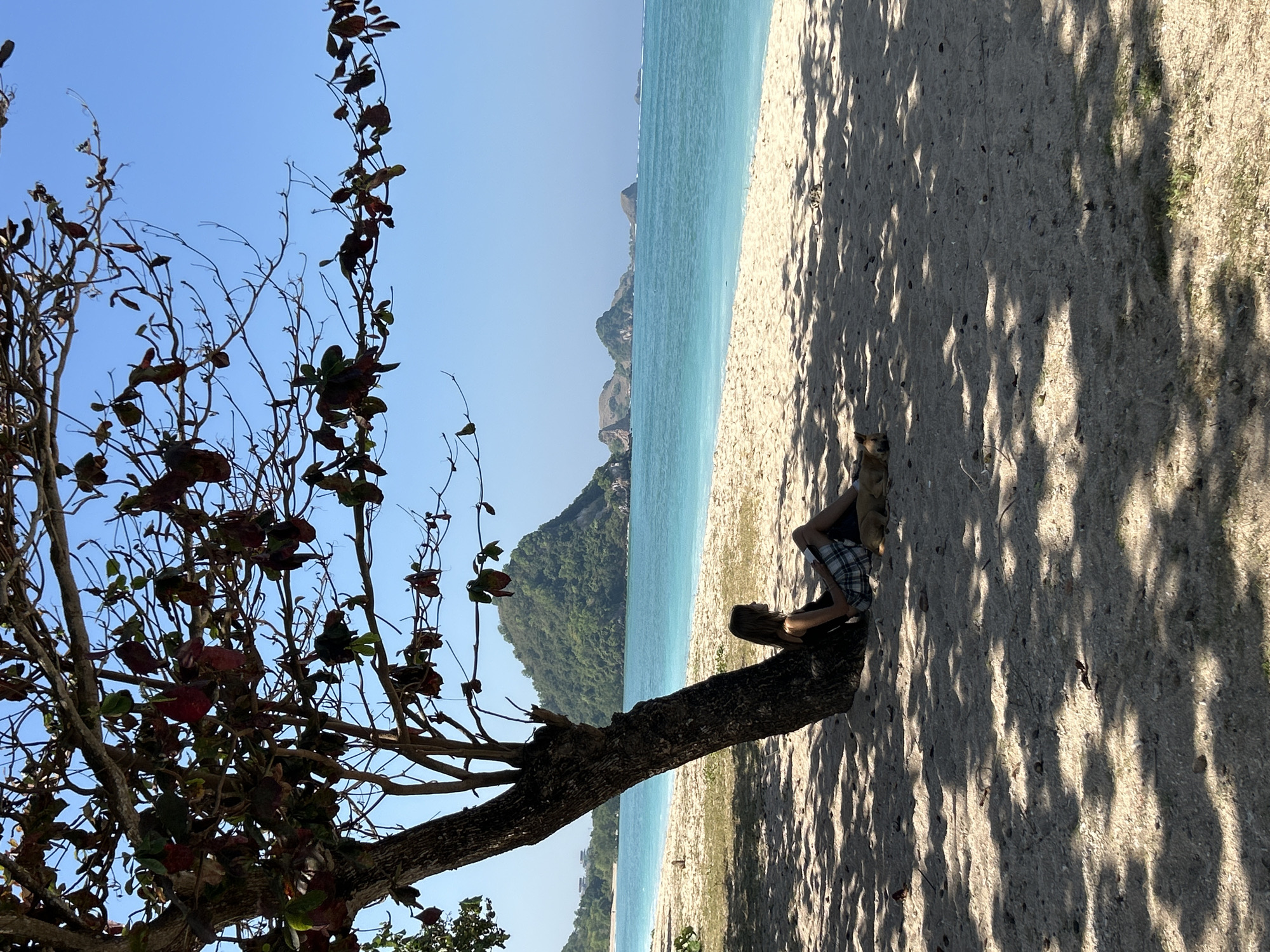A young woman with long brown hair sits with her back to the camera, leaning against a large tree on a sandy beach. She is wearing a dark tank top and a plaid skirt. Next to her, a light brown dog is lying down. The tree casts dappled shadows on the sand. In the background, the turquoise ocean meets a white sandy shore, with lush green hills and islands visible in the distance under a clear blue sky. The scene is tranquil and appears to be a beach in Kuta, Indonesia, known for its beautiful coastline.