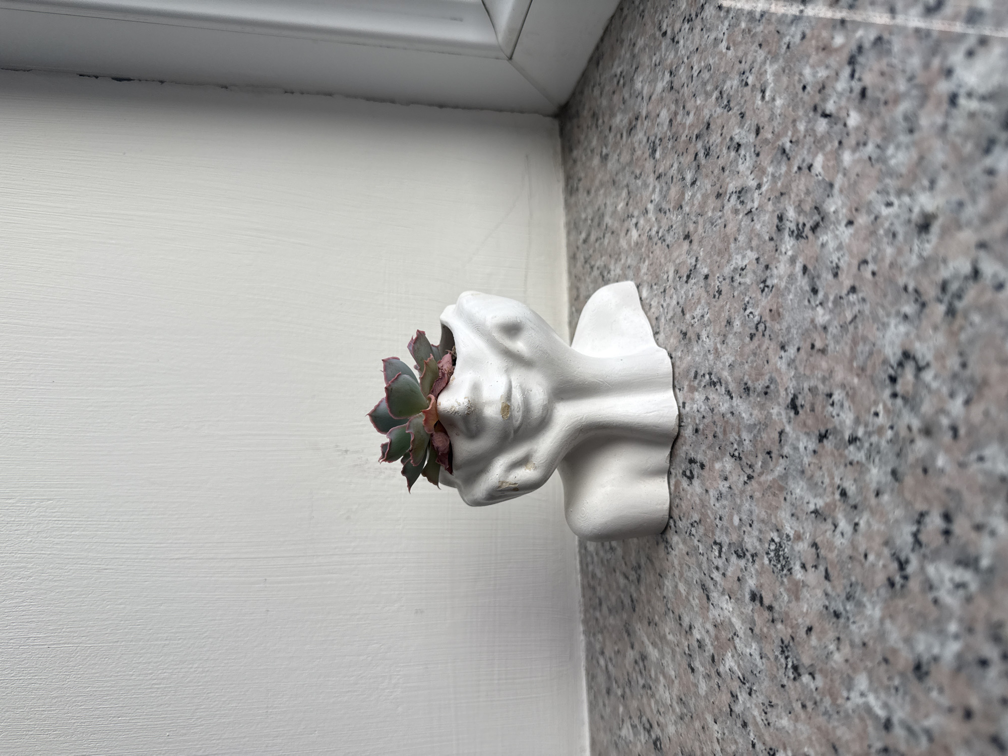 A white ceramic bust planter, designed to resemble a woman's head with hands clasped under her chin, sits on a speckled granite countertop. A succulent plant with pink-tipped green leaves grows from the top of the planter. The background is a textured white wall, and a sliver of a white window frame is visible on the right. The scene is illuminated by natural light. This image was captured in Sevan, Armenia.