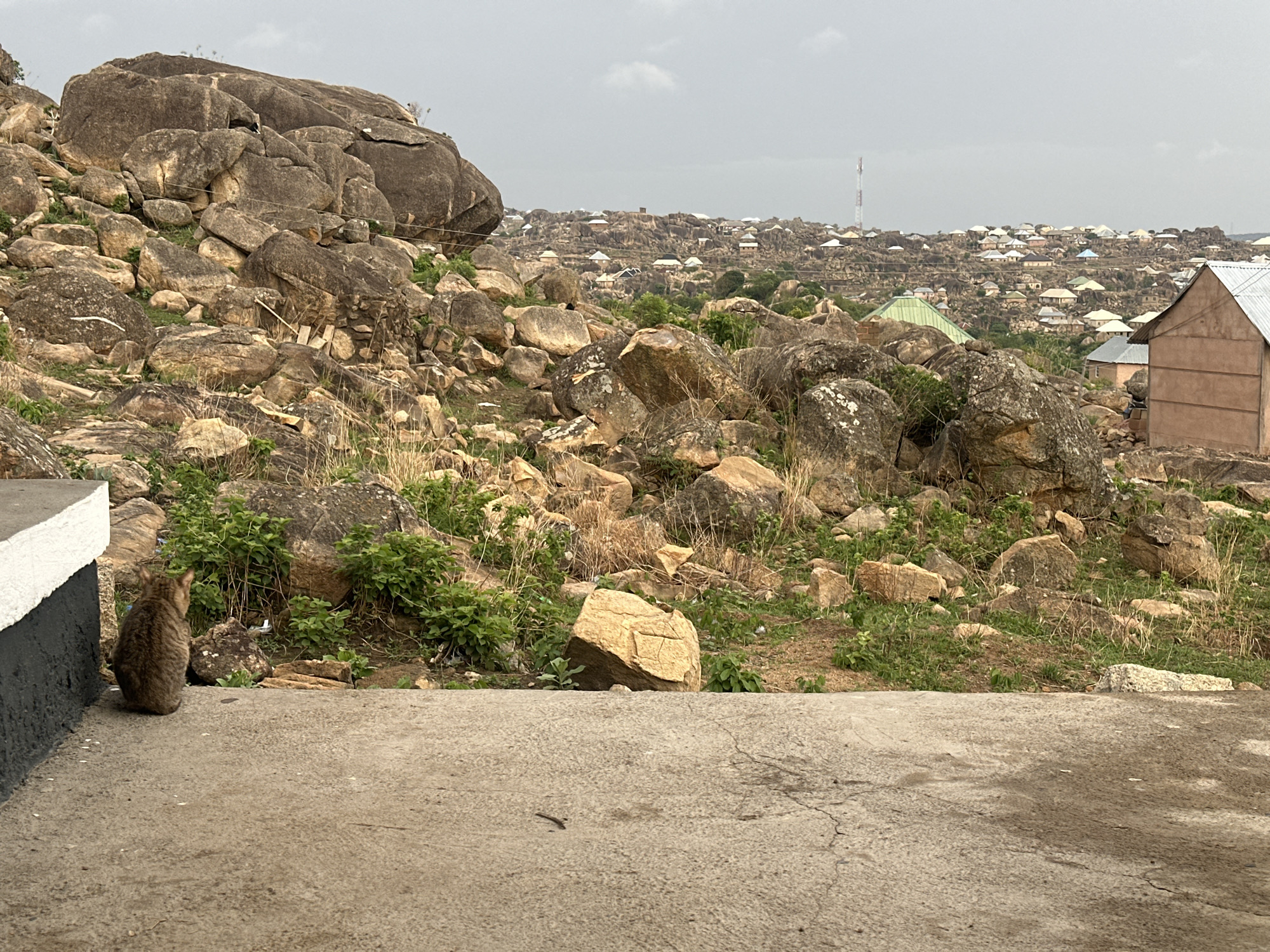 A brown tabby cat sits on a concrete surface, facing away from the viewer, toward a rugged landscape of rocks and sparse vegetation in Jos, Nigeria. The rocks vary in size and are scattered across the hillside. In the background, a densely built area with numerous houses is visible, and a telecommunications tower rises above the skyline. The sky is overcast. A portion of a building with light brown walls is visible on the right side of the image. The left foreground contains a white and black concrete wall.