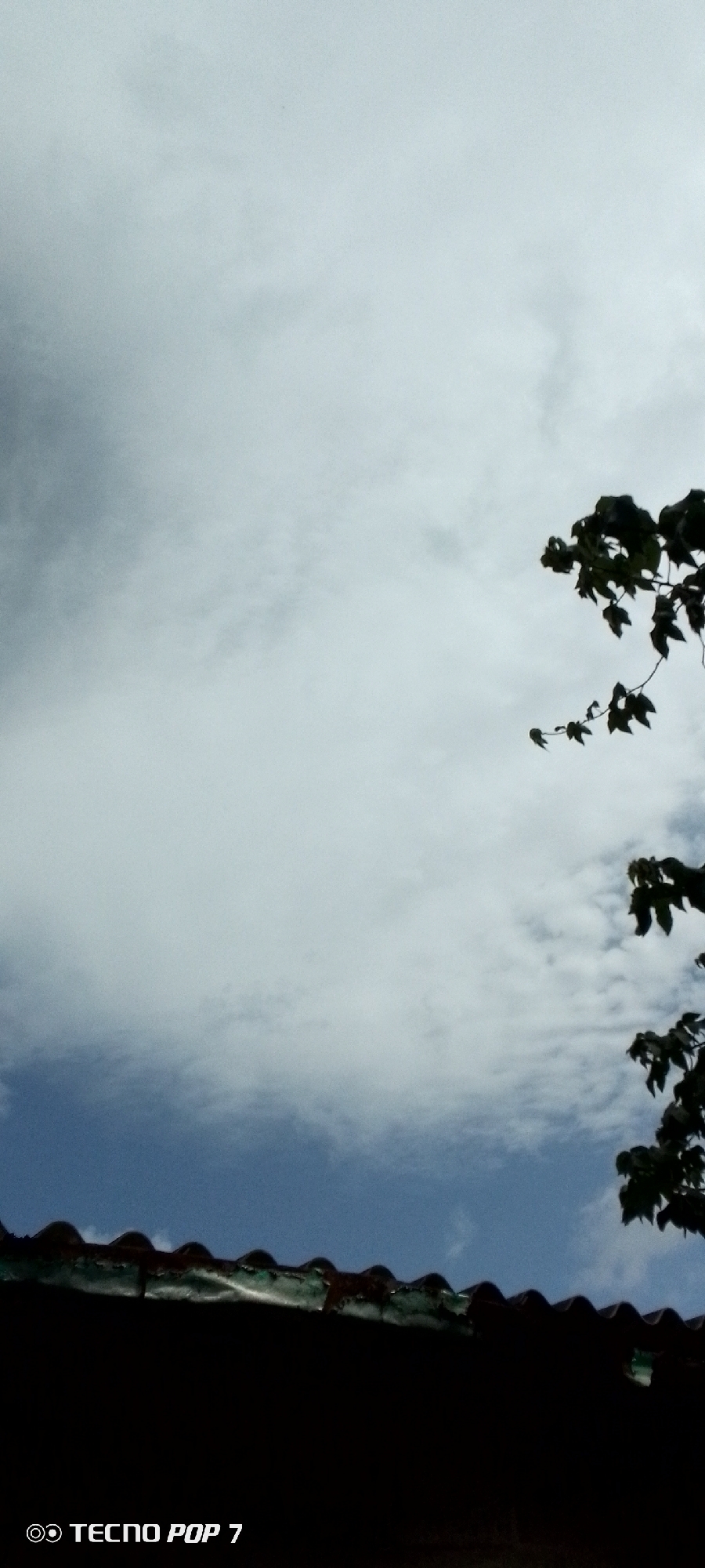 This is a vertical, medium-shot photograph taken from below, looking up towards the sky. The image is dominated by a cloudy sky with patches of blue visible. In the foreground, the dark, silhouetted roofline of a building is visible, with a wavy, corrugated texture that appears to be made of dark-colored material, possibly asbestos or asphalt shingles. The roofline extends across the bottom of the frame. On the right side of the image, dark green foliage from tree branches is silhouetted against the sky. The bottom left corner of the image contains a watermark that reads "OO TECNO POP 7". The scene appears to be an outdoor urban environment, possibly in Altagracia, Venezuela, given the watermark typically indicating a mobile phone model. There are no people or animals visible in the frame, nor any discernible action or interaction. The lighting suggests an overcast or partly cloudy day.