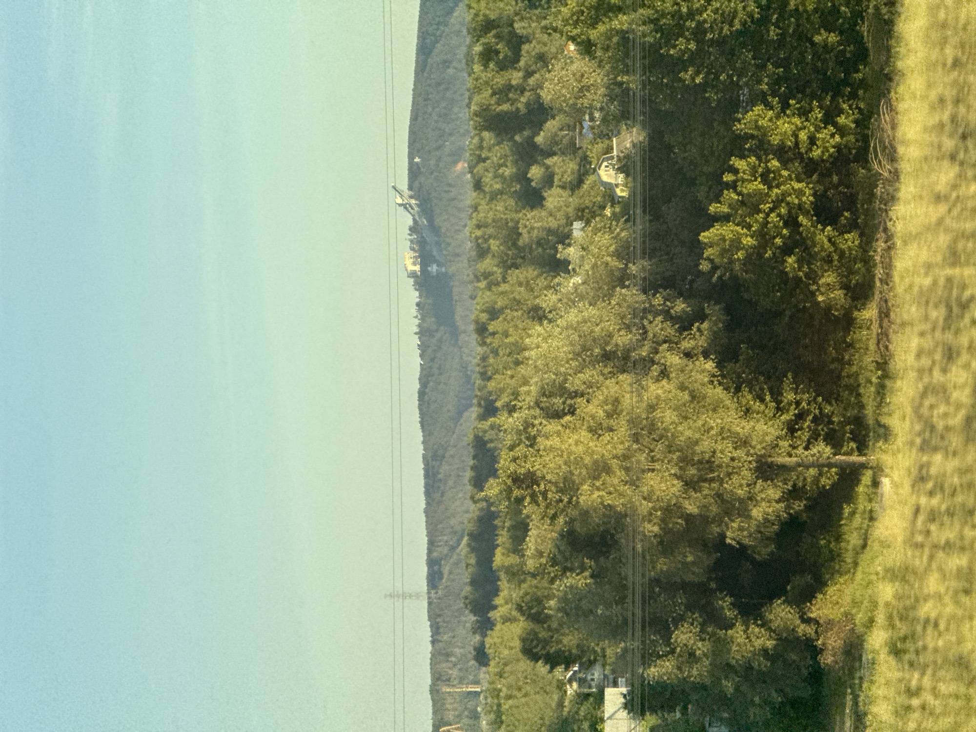 The image presents a panoramic landscape captured during daytime, featuring a prominent sky, distant hills, and closer vegetation with industrial elements. The sky, occupying the upper and left portions of the frame (when correctly oriented), displays a gradient from light blue to a pale greenish hue.
A long, forested hillside forms the horizon line in the middle ground, stretching horizontally across the view. On this distant ridge, several industrial structures, including cranes and buildings, are visible, suggesting a factory or a large construction site. Multiple thin power lines, supported by at least one power pylon, traverse the sky and extend over the distant hills.
Closer to the viewer, a dense expanse of green trees occupies the right and lower parts of the image, with a section of grassy terrain in the immediate foreground on the far right. The lighting is bright and even, indicative of clear daytime conditions. There are no people visible, and no specific activity is depicted. The scene combines natural elements with signs of industrial presence. No text is discernible in the image.