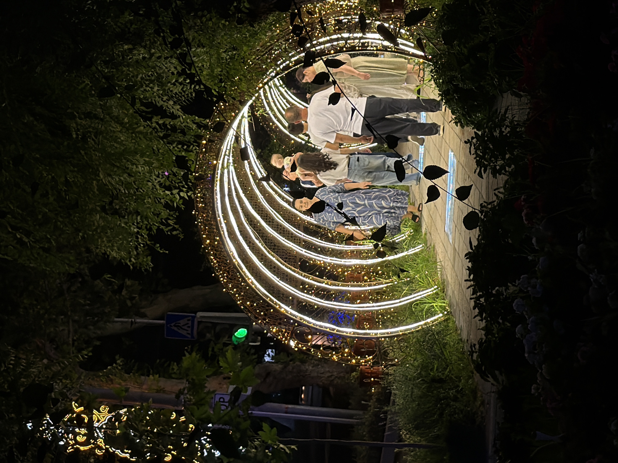 The image depicts a nighttime scene in the city of Chirchik, Uzbekistan, likely at a park or public area decorated with festive lights. A prominent feature is a large, arched tunnel constructed from metal framework adorned with numerous small yellow lights and lined with bright white LED strips. This illuminated structure creates a glowing pathway. Several people are walking through or standing near the tunnel, appearing to be enjoying the ambiance.
To the left of the tunnel, a tall, decorated Christmas tree-like structure, also covered in yellow lights, is visible. Further left, there are trees with dense foliage and street signs, including a pedestrian crossing sign. A green traffic light is also visible. The ground beneath the tunnel is paved with rectangular tiles. In the foreground, the scene transitions to a darker area with shadowed bushes and what appear to be flowers, some illuminated by the ambient light. The overall atmosphere suggests a celebratory or recreational event.