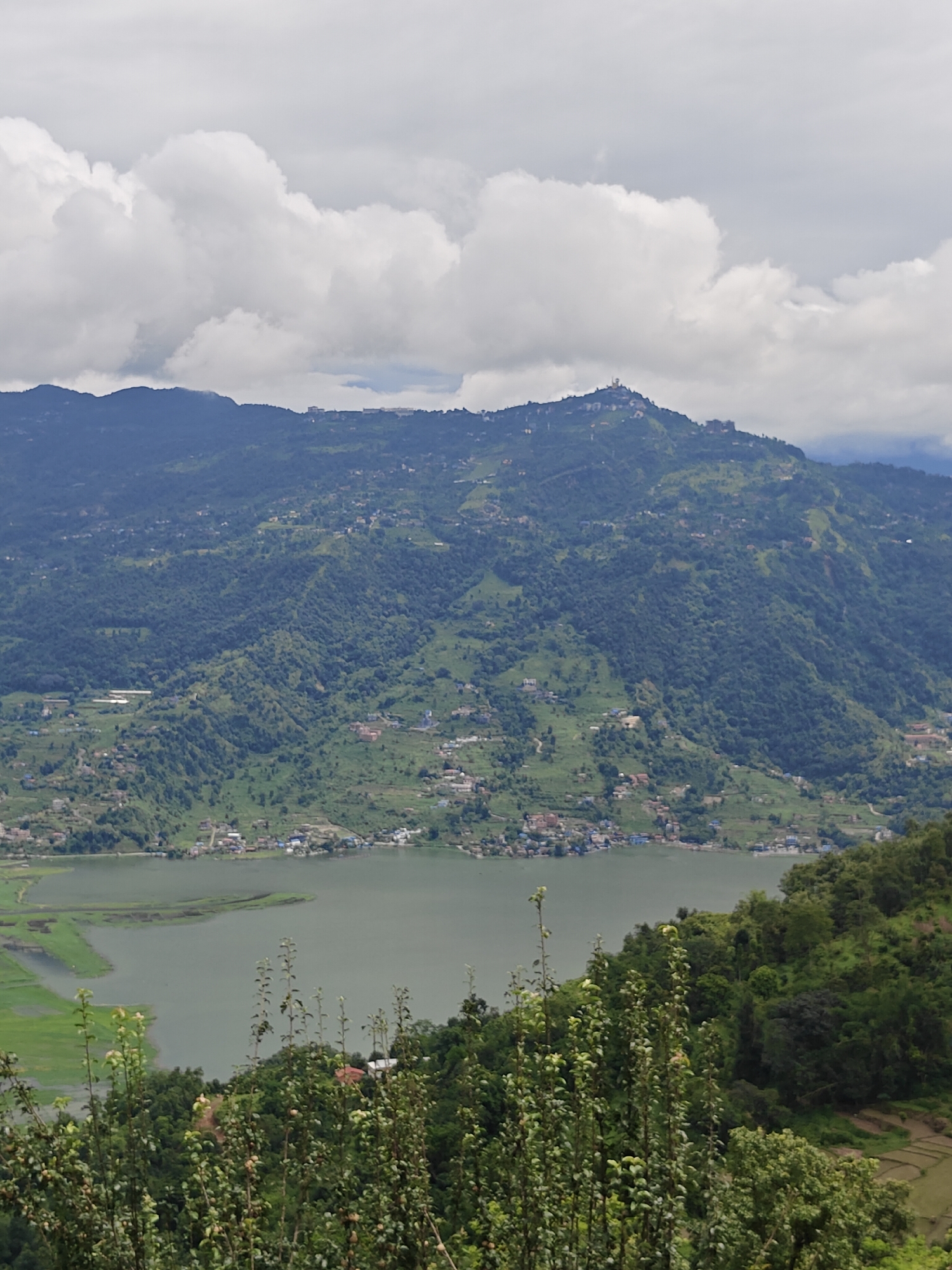The image captures a panoramic view of the city of Pokhara, Nepal, from a higher vantage point. In the foreground, lush green trees and bushes dominate the lower part of the frame, with hints of rice paddies and cultivated fields visible on the right. The midground features a serene, greenish lake, likely Phewa Lake, with the city's buildings lining its shore. Beyond the lake, a verdant, rolling mountain landscape stretches towards the horizon. The mountains are densely covered with trees and dotted with scattered settlements. At the summit of one prominent mountain, there is a visible structure, possibly a temple or a tower, with smaller buildings clustered around it. The sky above is filled with dramatic, fluffy white clouds against a light grey backdrop, suggesting an overcast day. The overall scene depicts a harmonious blend of natural beauty and human habitation in a hilly terrain.