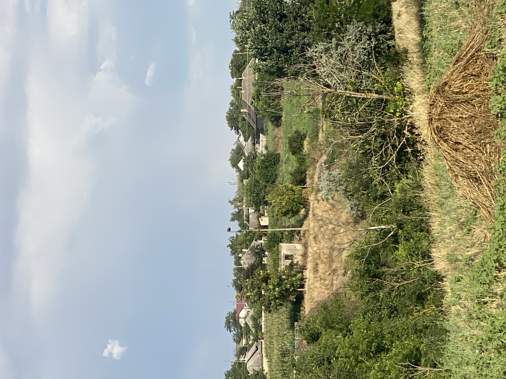 This is a wide-angle, eye-level shot of a rural village scene in Cairaclia, Moldova. The sky is a pale blue with scattered white clouds, one of which is distinctly shaped like a small, fluffy animal. Below the sky, a cluster of houses with gray-tiled roofs is nestled amongst lush green trees and foliage. The houses appear to be of traditional, modest design, with some showing signs of age. A single, bare-branched tree stands prominently in the foreground, its branches stark against the greenery. In the lower right corner of the frame, a conical pile of dried hay rests on a bed of green grass. The overall impression is one of a peaceful, rustic countryside setting.