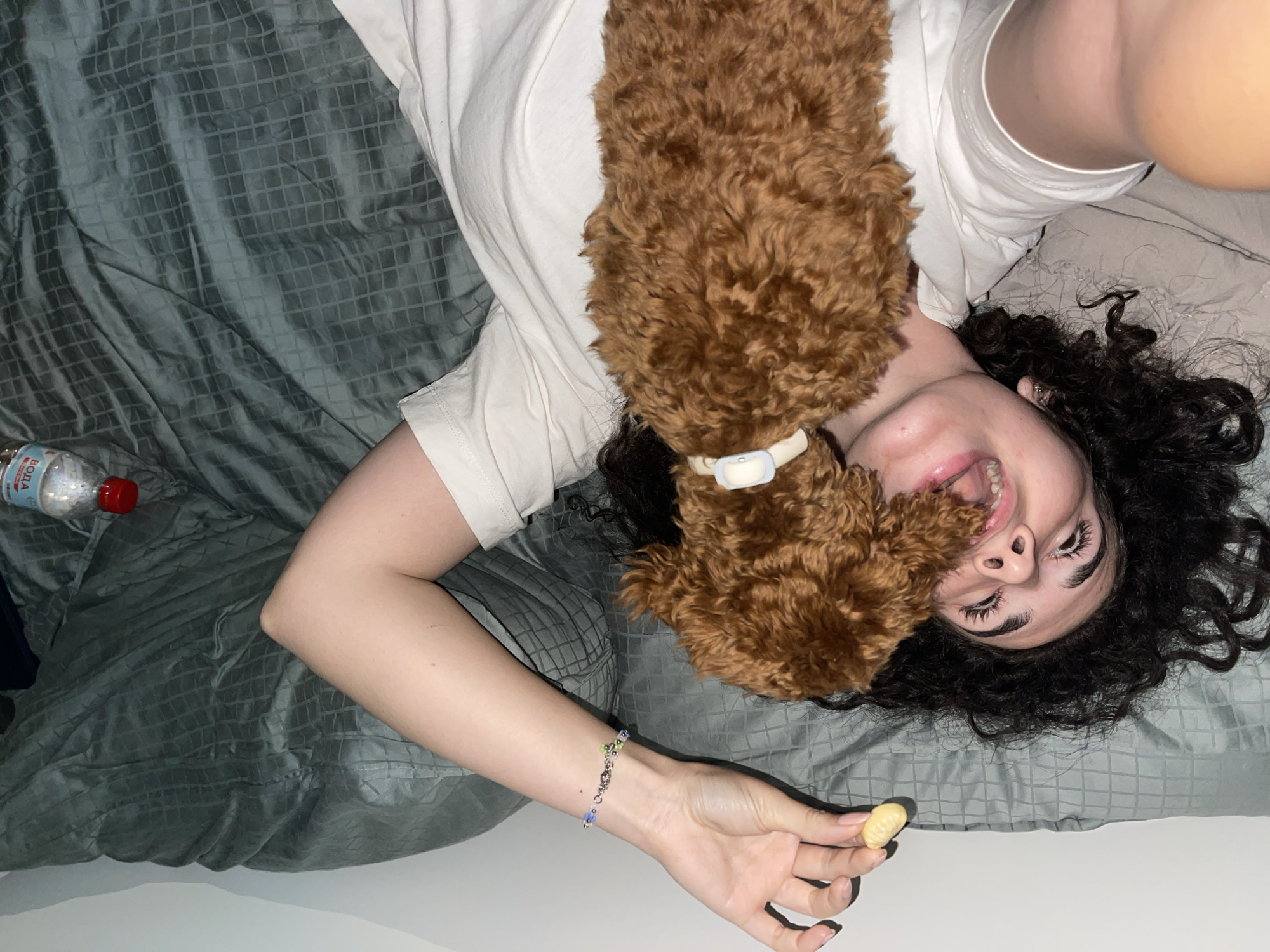 This overhead shot captures a joyful indoor scene featuring a young woman and a small, curly-haired brown dog lying together on a bed. The bed is covered with a dark green or teal patterned comforter or duvet.
The woman has dark, curly hair and is wearing a white t-shirt. She is smiling widely with an open mouth, her expression conveying happiness and affection. The dog, which appears to be a poodle or doodle mix, is positioned with its head close to the woman's face, seemingly nuzzling or playfully licking her. It wears a light-colored, possibly off-white, collar.
In her right hand, the woman holds a small, light-yellow, irregularly shaped object, which looks like a pet treat or a snack. Her left wrist is adorned with a delicate bracelet featuring small blue, green, and silver beads. On the bedding to the left, a plastic water bottle with a red cap is visible. The label on the bottle clearly shows the text "БОДА" (BODA), a brand of mineral water commonly found in Bulgaria, which aligns with the given location context of Sofia, Bulgaria.
The lighting is soft and somewhat dim, suggesting an indoor setting, possibly during the evening or night. The overall atmosphere is one of warmth, playfulness, and an affectionate bond between the woman and her pet.