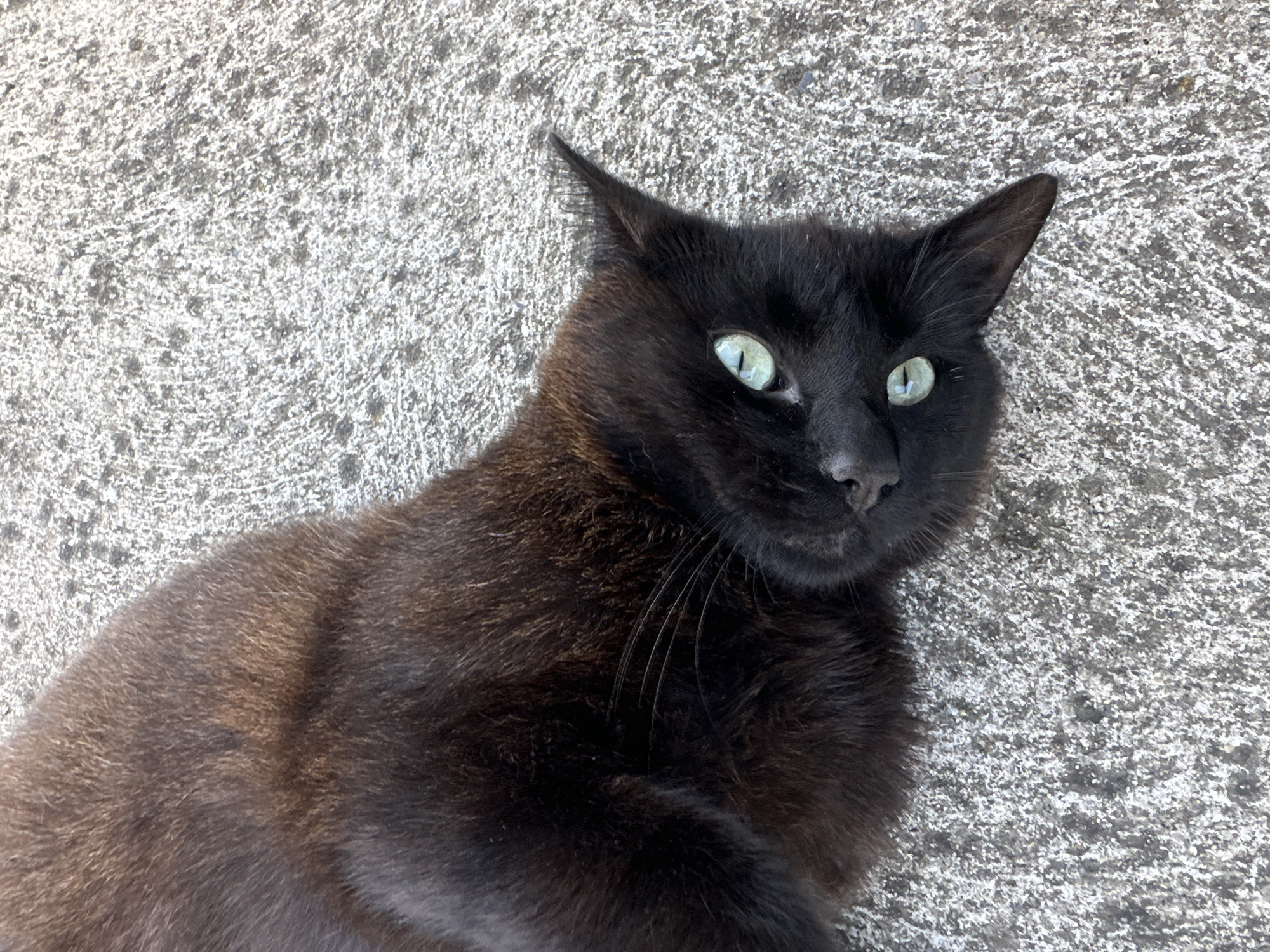 A black cat with bright green eyes is lying on a textured gray concrete surface. The cat is positioned diagonally across the frame, with its head tilted and facing the viewer. Its fur appears to be soft and slightly ruffled. The concrete surface is rough and shows an uneven pattern of light and dark gray aggregates. The scene appears to be outdoors, possibly on a patio or sidewalk. There is no visible indication of the specific location in Moortown, Ireland.