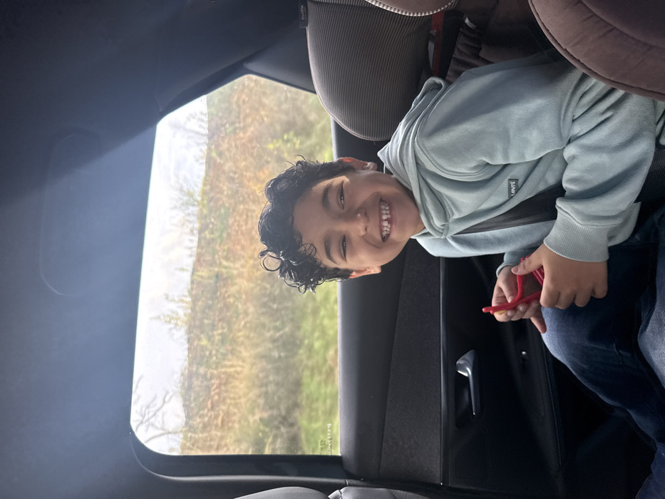 The image captures a male child, estimated between 6 and 9 years old, seated in the rear passenger compartment of a vehicle in Pourrières, France. The child has dark, curly hair and is wearing a light blue hooded sweatshirt with a 'Levi's' brand patch on the left chest, over blue denim trousers. He is secured by a black shoulder seatbelt positioned diagonally across his torso. The child is smiling widely, facing the camera, and several lower front teeth are visibly absent. Both hands are engaged with a red, flexible, pipe cleaner-like object or toy, shaped into an abstract, multi-looped configuration. The vehicle's interior includes a dark door panel with a silver-toned door handle visible on the left, and a segment of a brown-upholstered car seat or booster seat on the right. Through the passenger window, a natural landscape is visible under overcast conditions, featuring a sloped area covered in dry, light brown grasses and sparse, bare-branched vegetation, indicative of a dormant season.