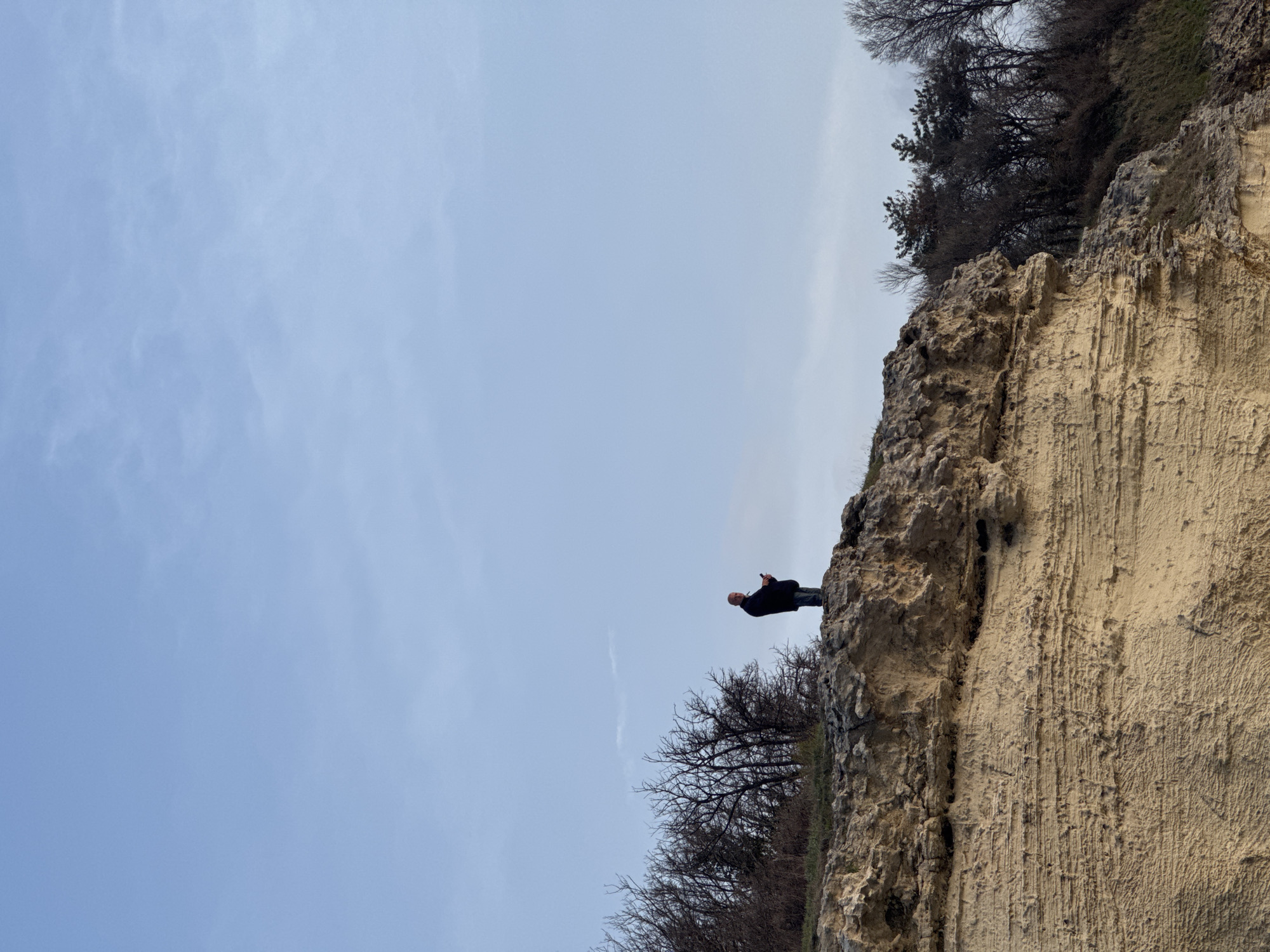 A man stands on a cliff edge, appearing small against the vast blue sky. The cliff is composed of light beige rock with a rough, textured surface, revealing vertical striations and rocky outcrops. Sparse trees, some bare, are located above and below the cliff edge. The image is taken from a low angle, enhancing the height of the cliff and the man's position on it. The location is likely near Tsarevo, Bulgaria, based on the coastal geography. The man appears to be looking out at the horizon, potentially holding a device in his hand.