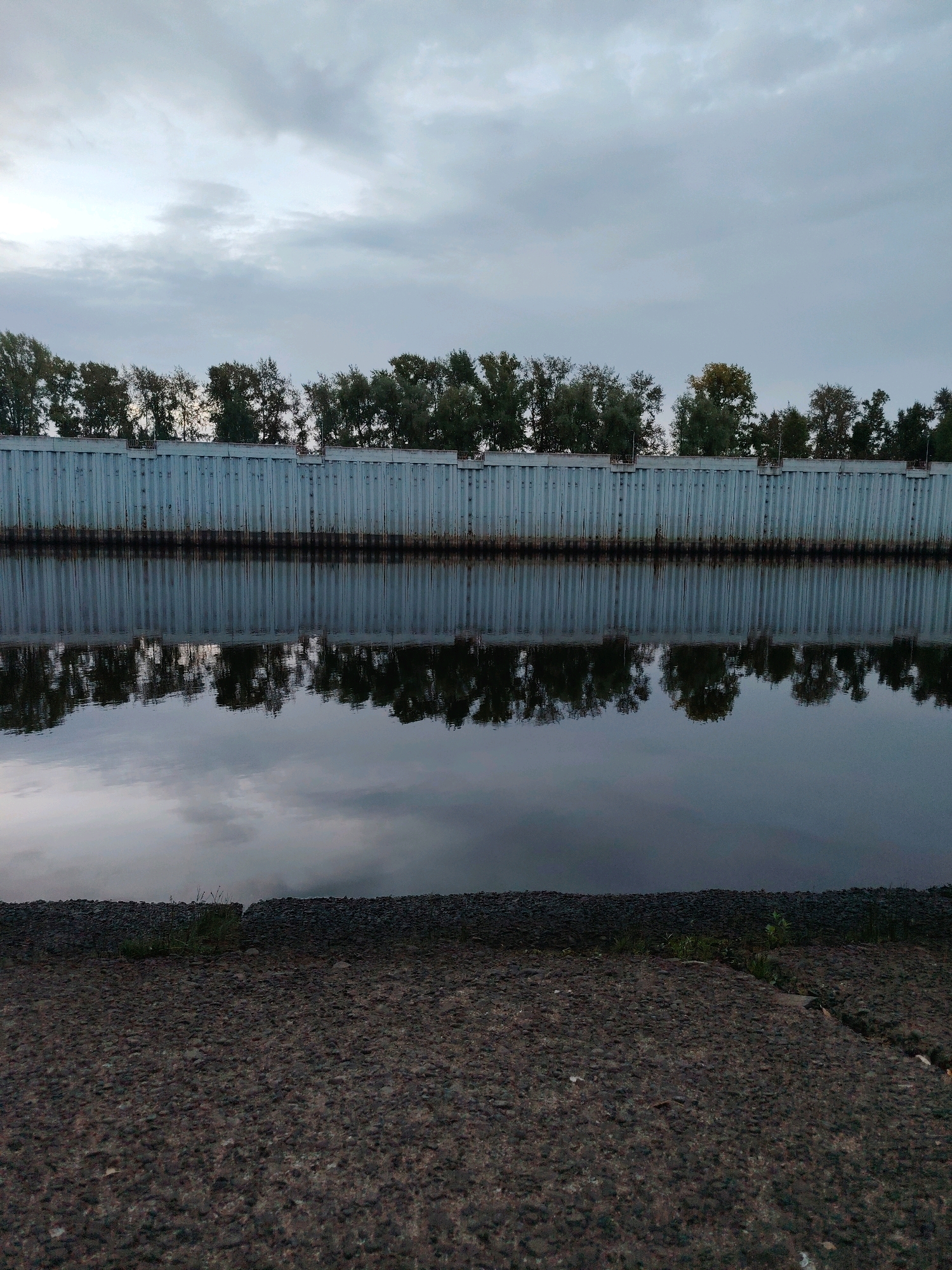 The image captures a view of the Kama River embankment in Chaikovsky, Russia, under an overcast sky. A long, corrugated metal wall, likely a retaining wall or part of a industrial structure, stretches horizontally across the midground. The wall exhibits some signs of rust near its base. Above the wall, a line of trees with dense foliage forms the distant horizon. The river in the foreground reflects the wall, the trees, and the cloudy sky, creating a mirror image. The immediate foreground consists of a rough, dark asphalt or gravel surface, with a strip of sparse green grass and weeds growing along the edge of the water. The scene is devoid of people or any discernible activity, presenting a quiet and somewhat somber atmosphere.