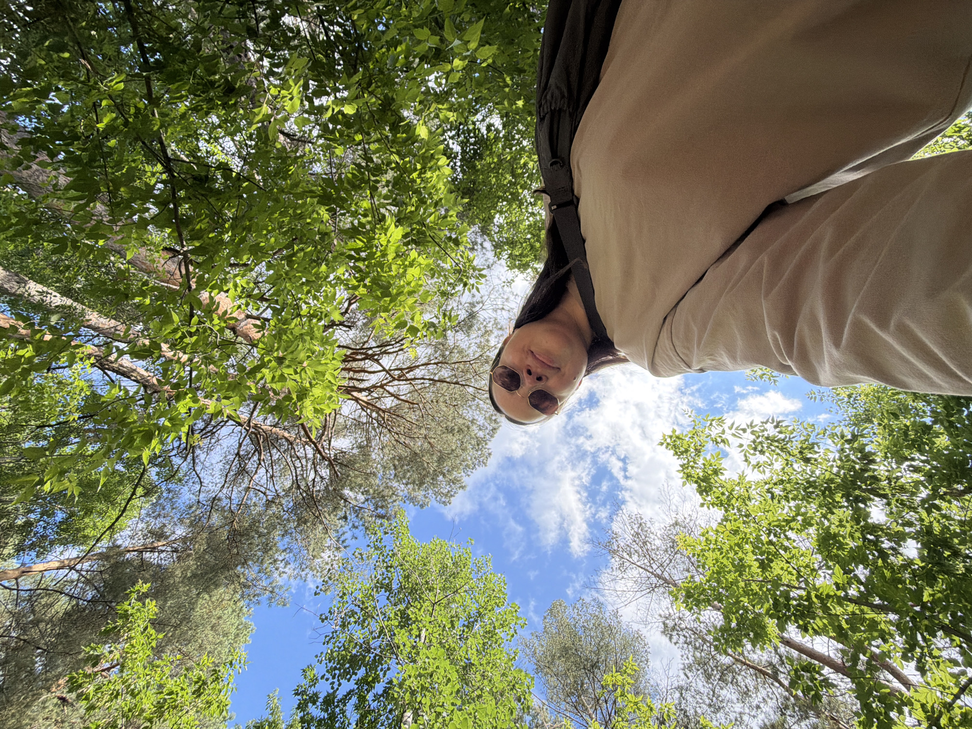 The image is a low-angle, wide shot taken outdoors, looking up through trees towards a blue sky with scattered white clouds. In the foreground, a person's face is visible from the chin up, wearing sunglasses with round, gold-rimmed lenses. They have dark hair and are looking slightly to the left of the camera. The person is wearing a light tan sweatshirt, and a dark backpack is slung over their left shoulder. The background is dominated by the vibrant green foliage of trees, with their branches and trunks also visible. The lighting suggests it is daytime, likely sunny. The scene is consistent with a natural environment like a park or forest, and given the mention of Chaikovsky, Russia, it could be within a park in that city, such as the Central Park of Culture and Leisure or a wooded area along the Kama River.