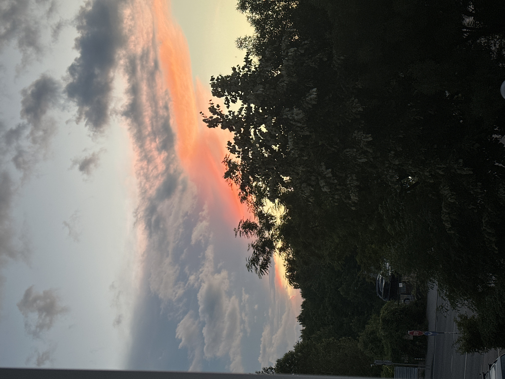 The image depicts a sunset over a tree-lined landscape. The sky is a gradient of colors, with soft blues and grays at the top transitioning to vibrant oranges and pinks near the horizon. Dark green foliage fills the lower half of the frame, with silhouetted trees forming a dense canopy. In the distance, a few cars are visible parked on what appears to be a street, partially obscured by the trees. A stop sign and a traffic sign are also present on the left side of the frame, near the road. The overall scene is one of natural beauty with subtle hints of urban presence.