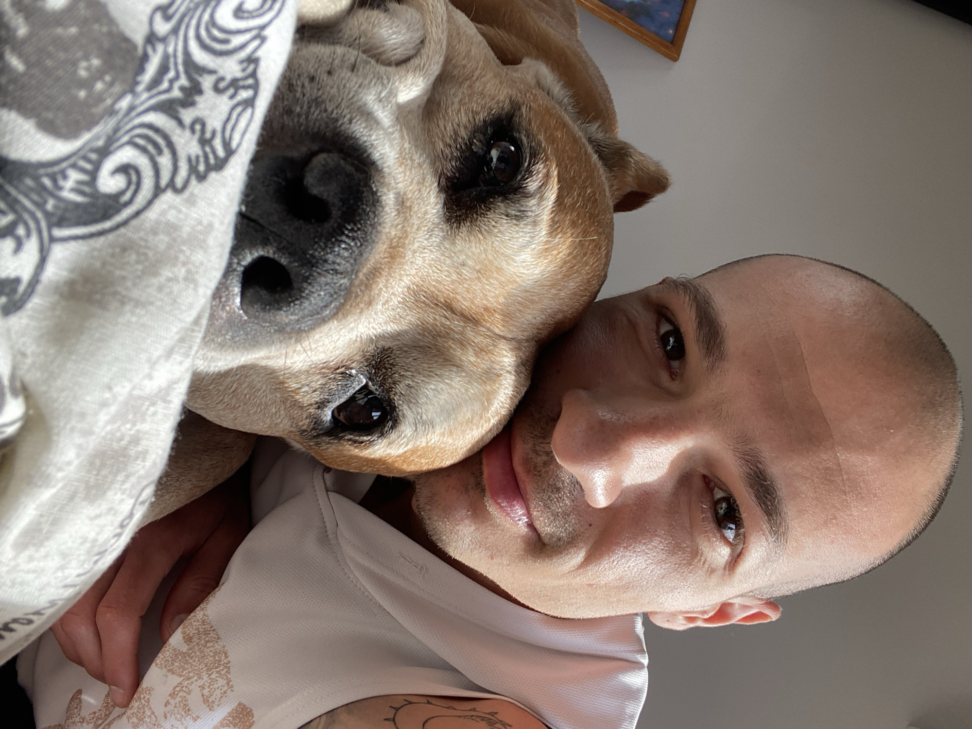 A close-up, high-angle shot depicts a bald man and a dog pressed close together. The dog, tan with a black nose, is on the left side of the frame, its head resting near the man's face. A patterned blanket or scarf partially covers the dog. The man's face is on the right, his head slightly tilted. His eyes are open, and he appears to be looking at the camera. He is wearing a white shirt with a visible design on the sleeve. The background is a light, neutral color, possibly a wall, with a framed object visible near the top of the frame. No information is available to support the location of the city of Pleven, Bulgaria.