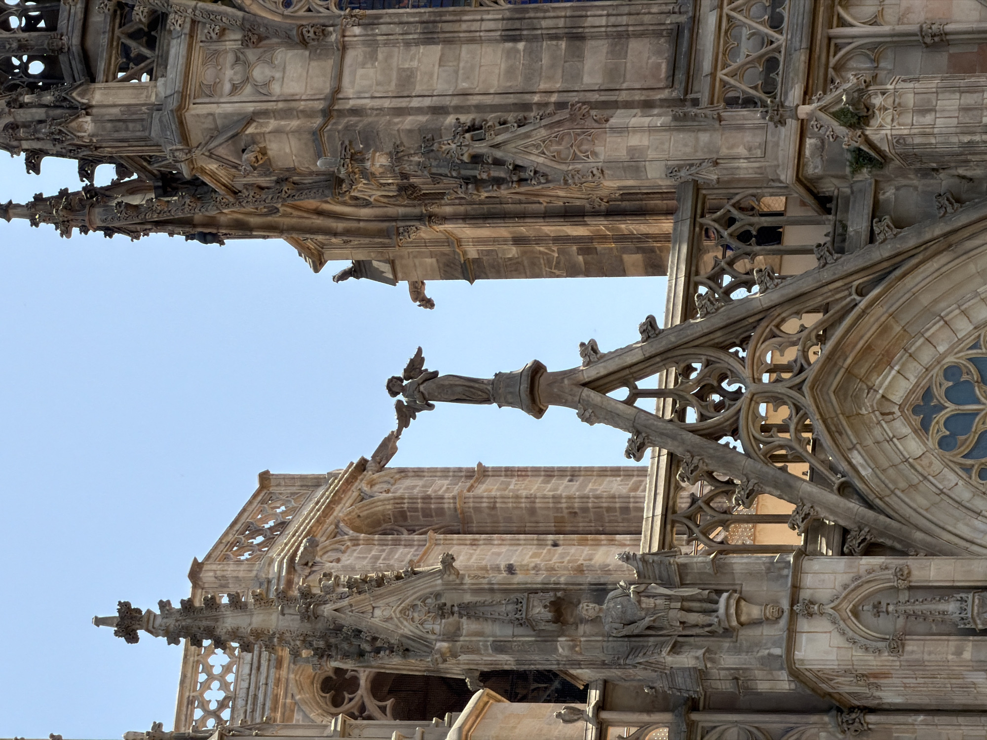 This is a vertical, eye-level, outdoor, medium shot of the Gothic Quarter of Barcelona, Spain, specifically the rooftop of the Barcelona Cathedral on a clear, sunny day. The stone architecture features intricate Gothic details, including spires, flying buttresses, gargoyles, and ornate carvings. The weathered stone is primarily beige and grey. Prominently featured is a statue of an angel with spread wings, standing atop a pedestal. To the left, a niche contains a statue of a robed male figure holding a scroll. A balustrade with decorative tracery runs along the rooftops. The background is a clear, light blue sky.