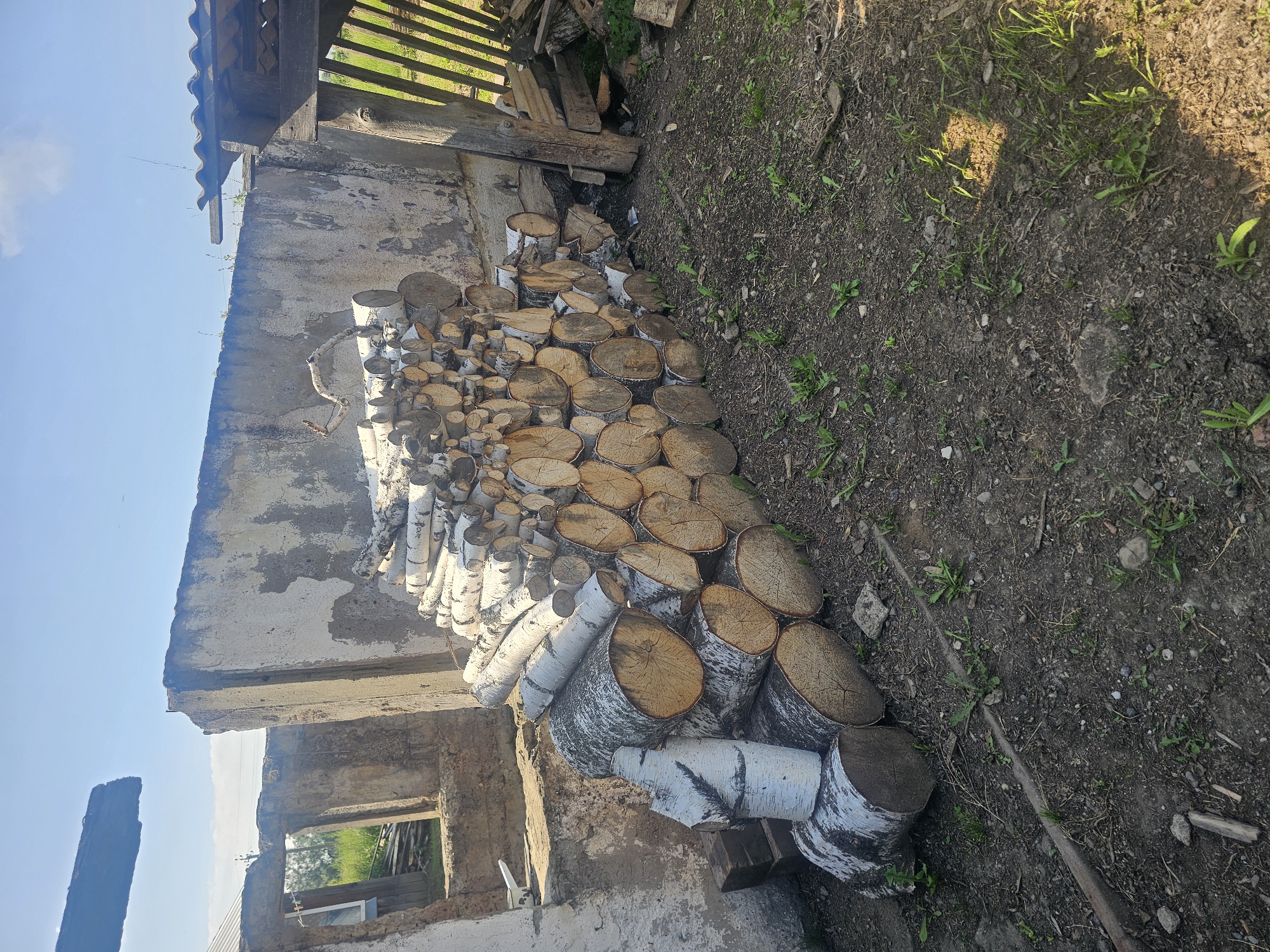 A large pile of freshly cut birch logs is stacked against a dilapidated concrete wall. The logs, varying in diameter and length, are positioned horizontally and at an angle, some appearing to be split. The ground beneath the logs is composed of dark soil with scattered green vegetation and small stones. To the right of the woodpile, a rustic wooden structure with a corrugated roof is visible, supported by wooden posts. Further to the right, additional wooden planks and debris are stacked. In the background, the remains of a damaged building with exposed concrete and openings are apparent. The sky above is a clear, bright blue with a few wispy clouds. This scene is located in Georgievka, Russia, as indicated by the presence of natural elements and building materials consistent with rural or semi-rural settings in the region.
