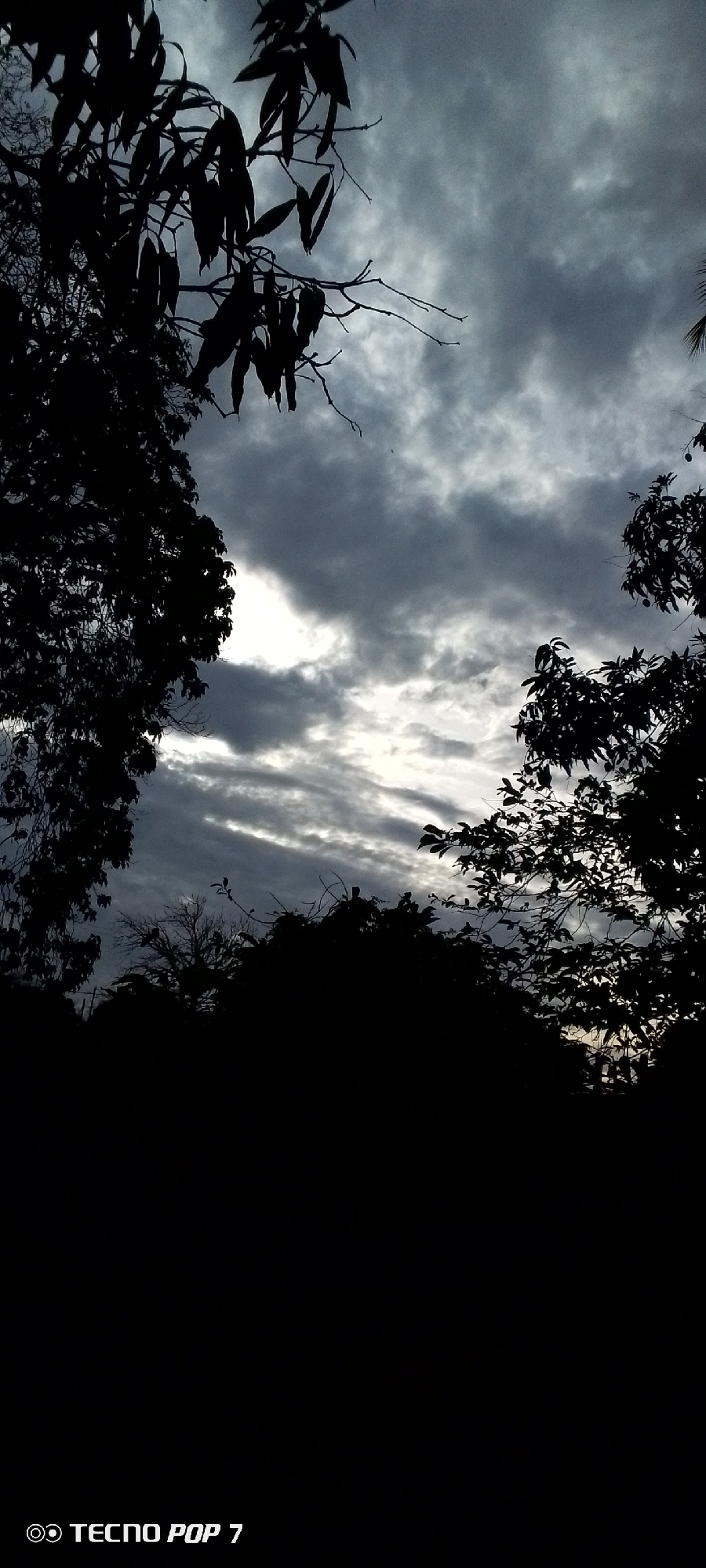 The image depicts a dark, silhouetted view of trees against a cloudy sky. The sky is filled with dark, dramatic clouds with some lighter areas suggesting illumination, possibly from the sun breaking through. The foreground is dominated by the dark shapes of foliage and branches, framing the sky. The bottom of the image contains a watermark that reads "TECNO POP 7". No people or specific city landmarks are visible. The scene appears to be an outdoor natural setting, likely a park or wooded area, at dusk or during overcast weather.