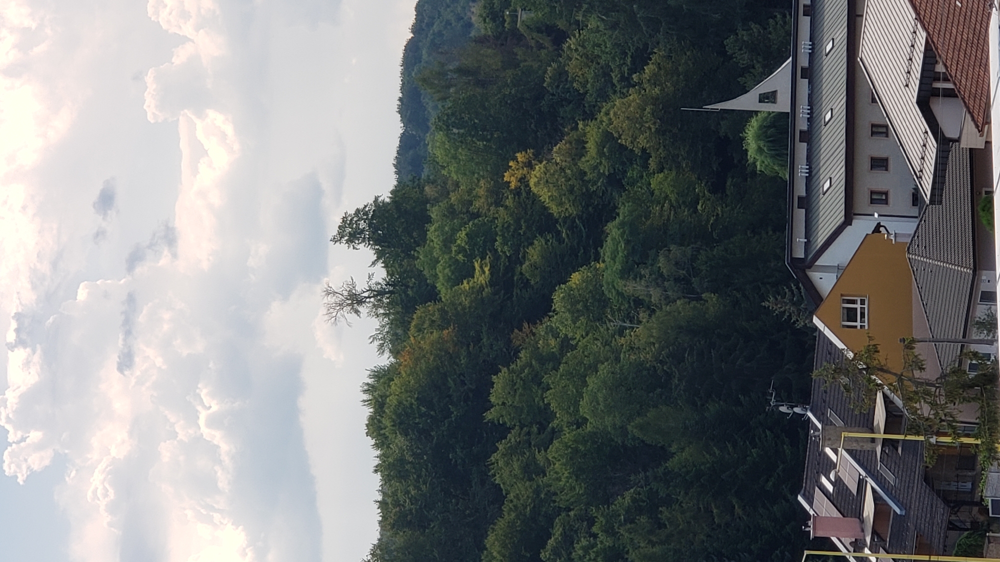 The image shows a view of a hillside covered in dense green trees, with a few scattered buildings visible in the foreground. The sky above is filled with dramatic, light-colored clouds. The trees are a mix of deciduous and coniferous, with some autumnal yellow foliage mixed in with the dominant green. The buildings appear to be residential or institutional, with tiled roofs and various architectural styles. One building in the center-right has a distinctive white, triangular spire. The overall impression is one of a natural landscape with human habitation. This scene is likely located in the outskirts of Prešov, Slovakia, a city known for its surrounding green spaces and hilly terrain.