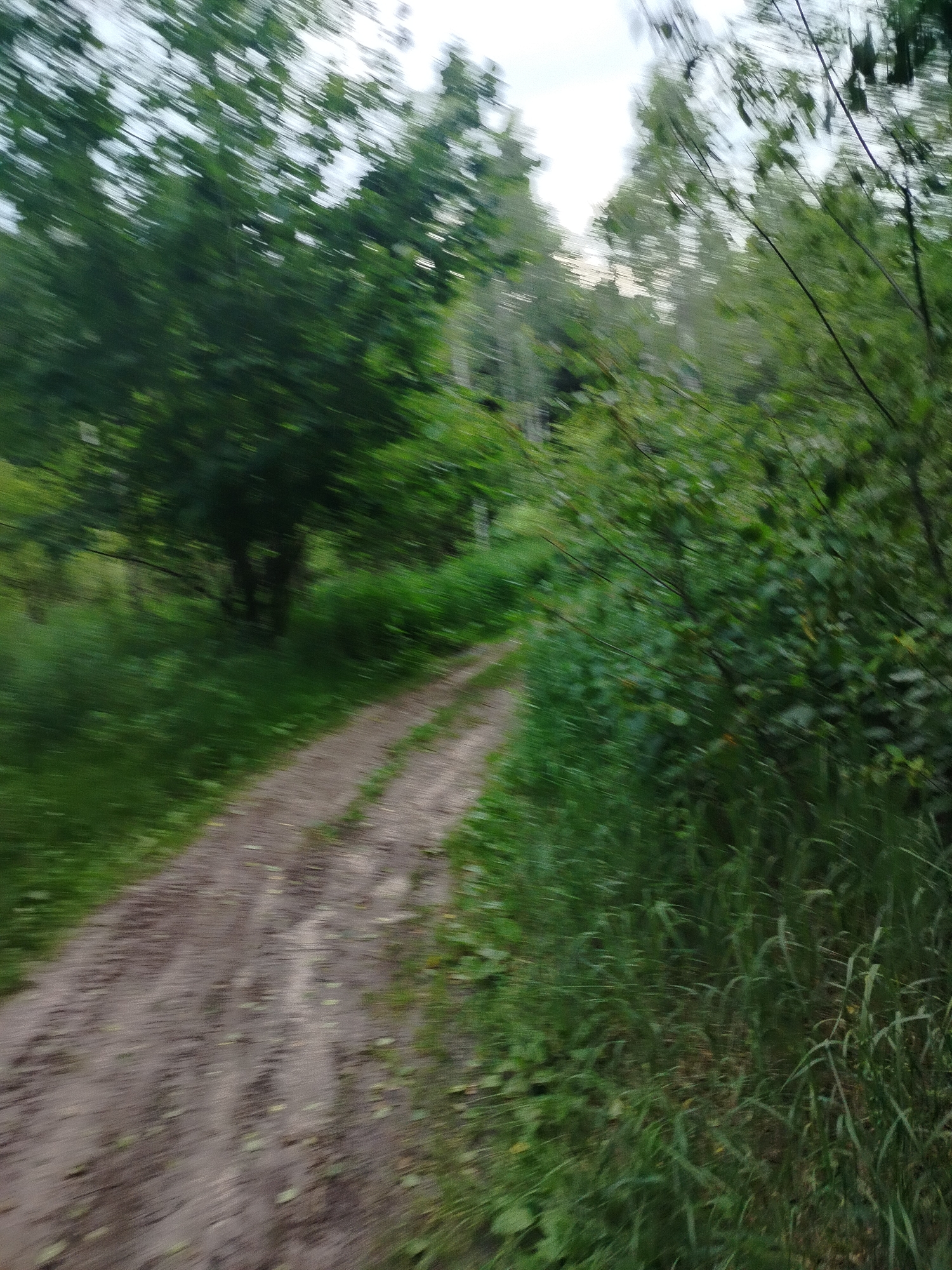 The image depicts a blurred, motion-effected view of a dirt path winding through a wooded area. The path is flanked by dense green foliage and trees, suggesting an outdoor environment, possibly a park or natural landscape within or near the Дзешчанскі сельскі Савет in Belarus. The lighting indicates it is daytime, with a bright sky visible through the trees. There are no people or specific structures visible in the frame. The overall impression is one of movement through a natural, overgrown setting.