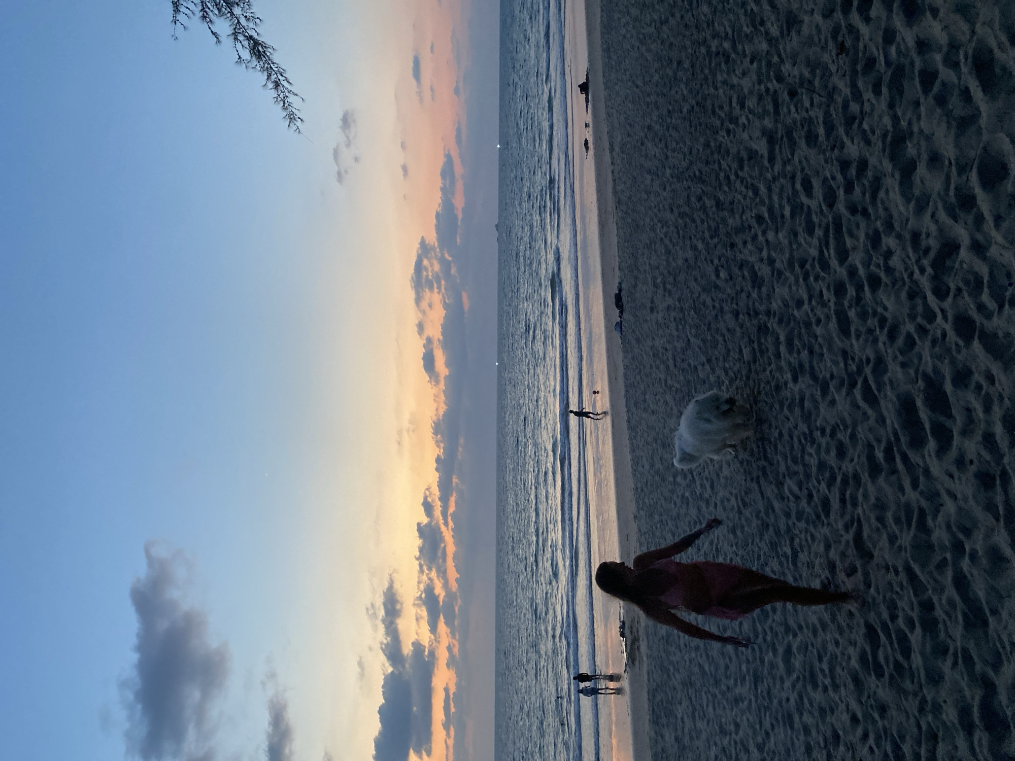 The image depicts a beach scene at dusk in Choeng Thale, Thailand. The sky is a gradient of blue, orange, and gray with clouds. A beach is on the right side, with a woman and a dog on the sand. People are walking in the distance near the water's edge. Waves are visible in the ocean. A tree branch is on the upper left.