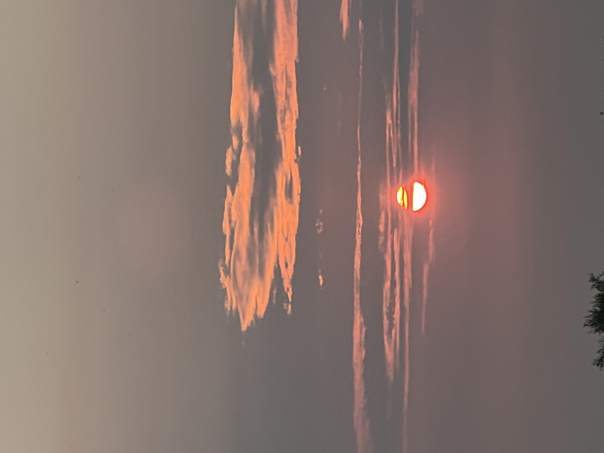 This image captures a sunset over the city of Novopichugovo, Russia. The sky is a blend of soft grays and oranges, with streaks of pink and yellow hinting at the sun's descent. A bright, circular sun is visible near the horizon, partially obscured by thin, horizontal clouds. These clouds are tinged with the warm hues of the sunset, creating a layered effect across the sky. In the foreground, the dark silhouettes of trees line the bottom edge of the frame, indicating a natural landscape or park. The overall scene is serene and atmospheric, characteristic of a twilight setting.