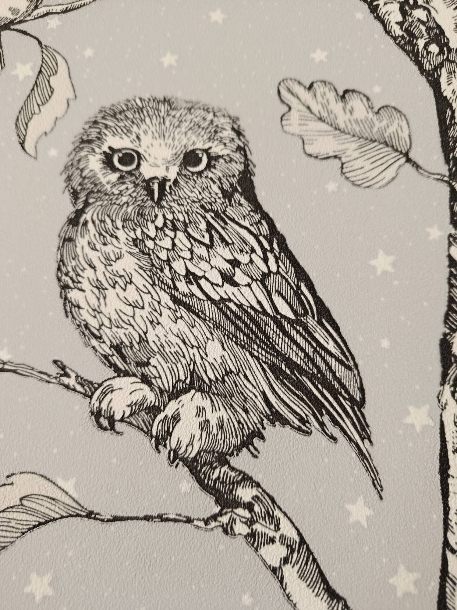 The image is a detailed close-up of a black and white illustration of an owl perched on a tree branch. The owl is facing the viewer, with its large, round eyes and detailed feather patterns clearly visible. The branch it sits on is gnarled and textured. In the background, a pale gray surface is decorated with small, white star shapes and faint leaf motifs, suggesting a whimsical or natural theme. The style of the illustration is reminiscent of woodcuts or etchings, with fine lines creating shading and texture. The image does not contain any information about the city of Vitsebsk, Belarus.