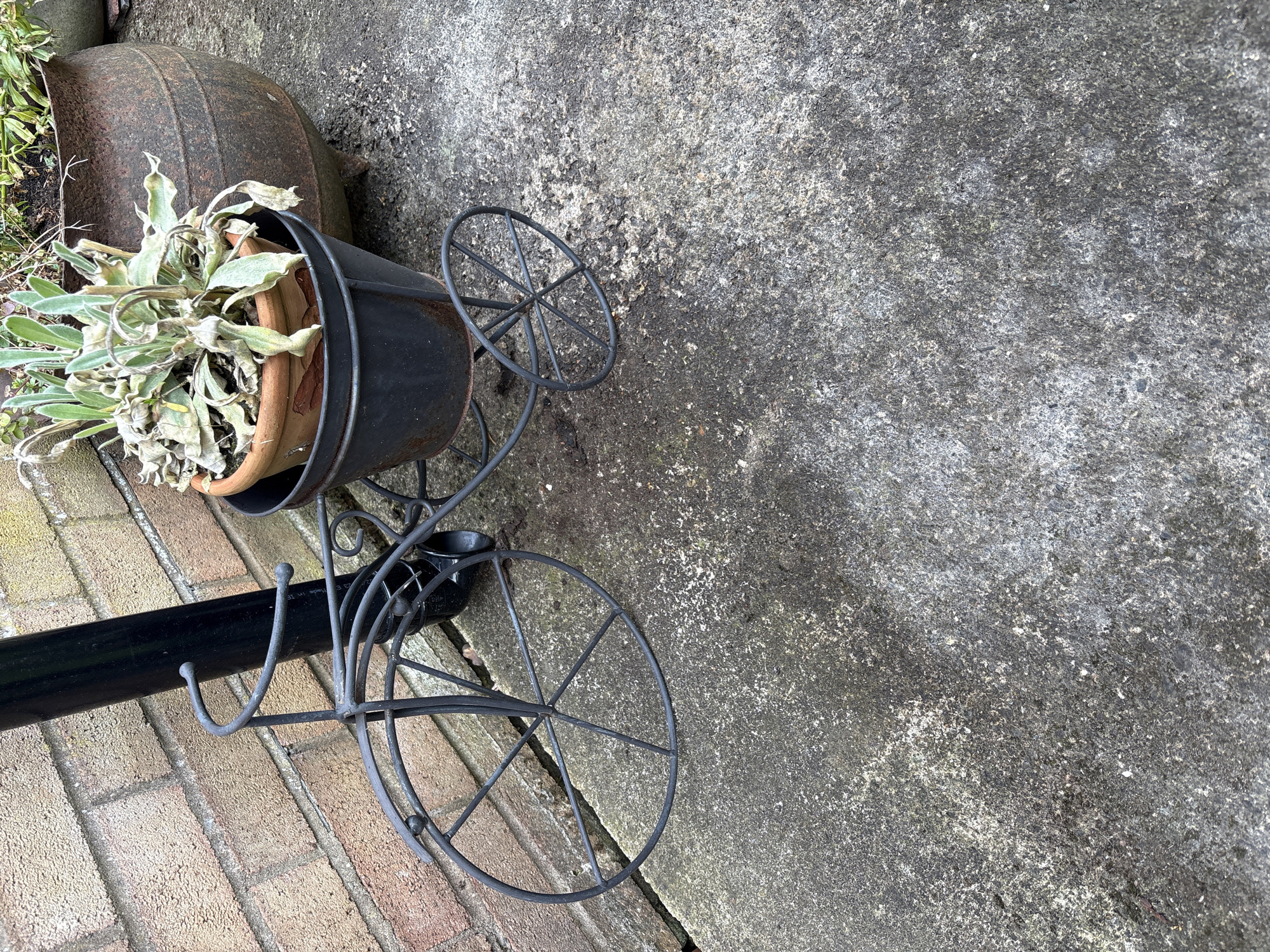 The image shows an outdoor scene, possibly in Longden, United Kingdom, given the prompt's location reference. The foreground is comprised of a brick surface on the lower left and a gray concrete slab dominating the rest of the scene. A black metal plant stand, shaped like a bicycle, is partially visible, holding a brown terracotta pot within a black metal container. The plant inside the pot appears to be dried or withered. To the upper left, a large, rusted metal pot rests on the brick surface, partly obscured by the plant stand. The concrete slab exhibits a weathered texture with visible cracks and stains.