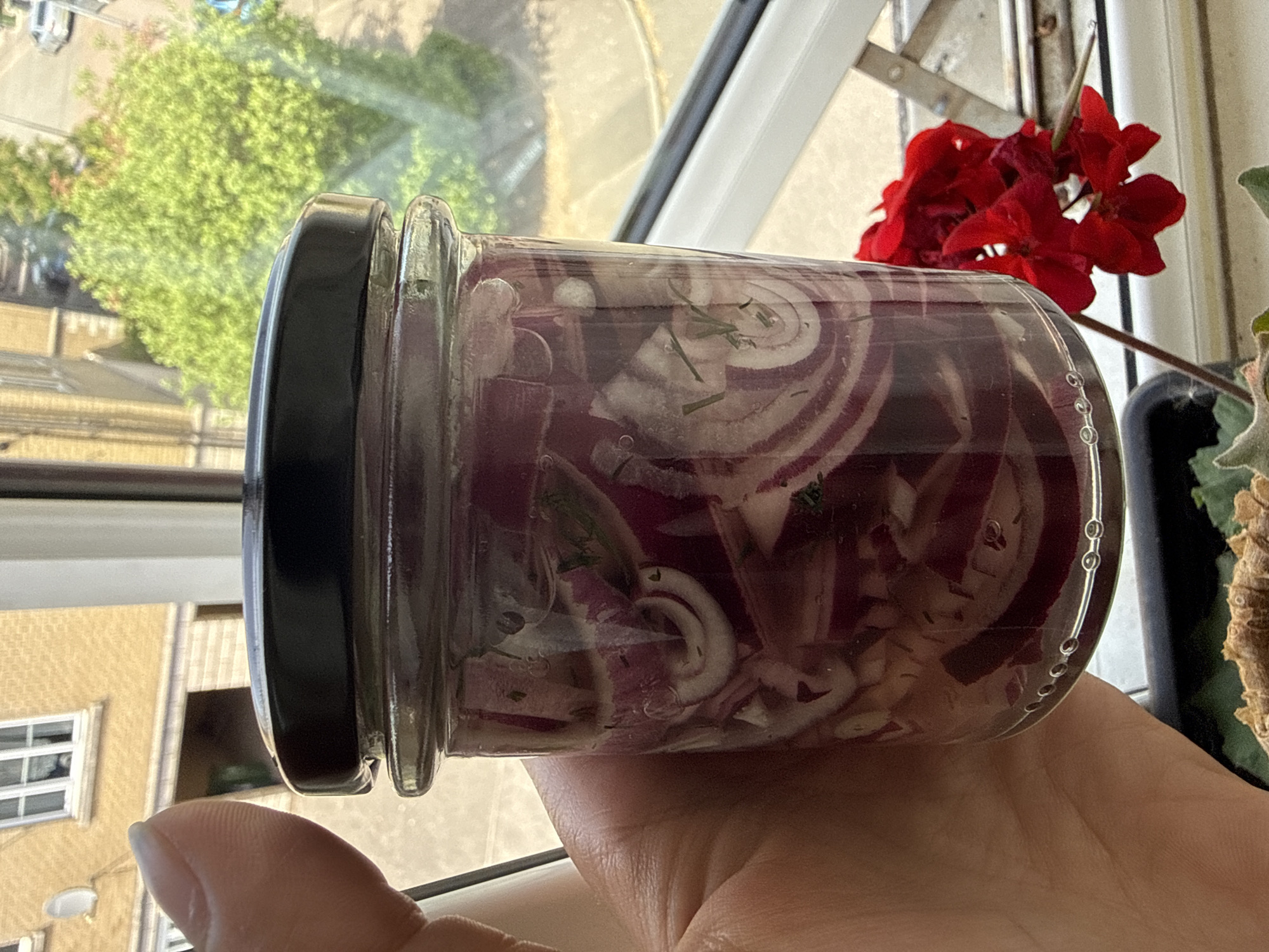 A person holds a glass jar filled with what appears to be pickled red onions. The jar has a black lid. The scene is near a window, with a view of buildings and greenery outside. A red geranium plant is partially visible to the right of the jar. The location is Great Yarmouth, United Kingdom.