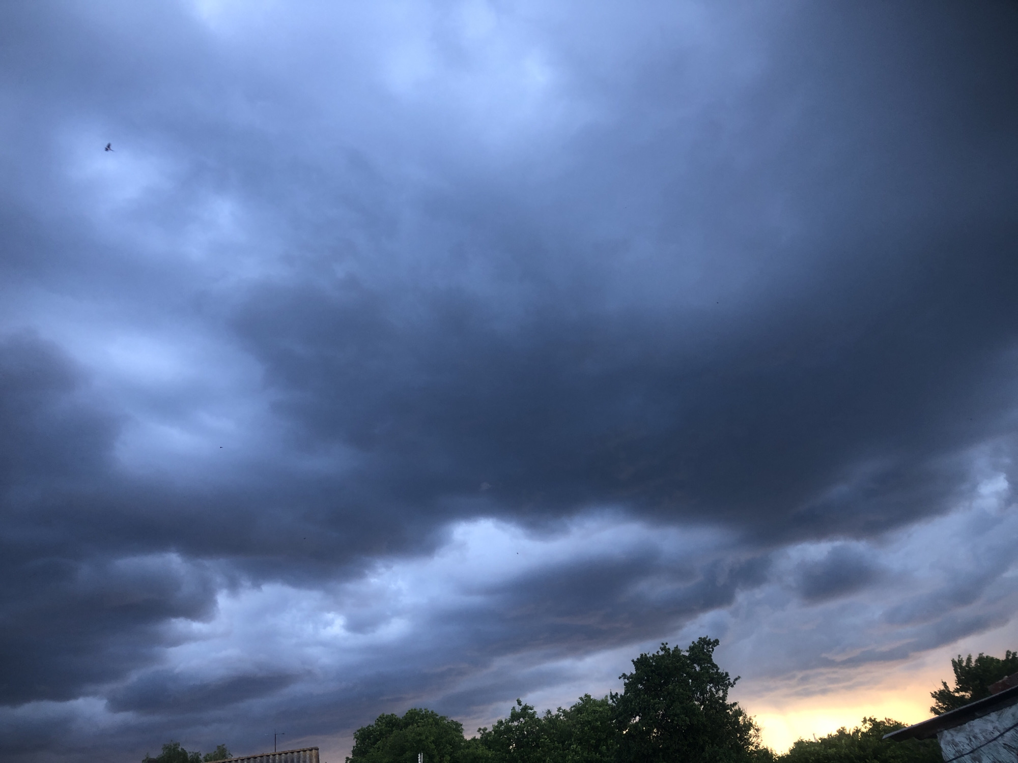 The image depicts a cloudy sky with dark, ominous clouds dominating the upper portion of the frame. The clouds are textured and appear to be moving, creating a sense of depth. In the upper left quadrant of the image, a small bird is visible in flight against the dark sky. The lower part of the image shows a silhouetted line of trees and some indistinct structures, possibly buildings or fences, against a faint glow of what appears to be sunset or sunrise. The overall mood of the image is dramatic and somber, suggesting the approach of a storm or the aftermath of one. The location is listed as Unknown, Unknown.