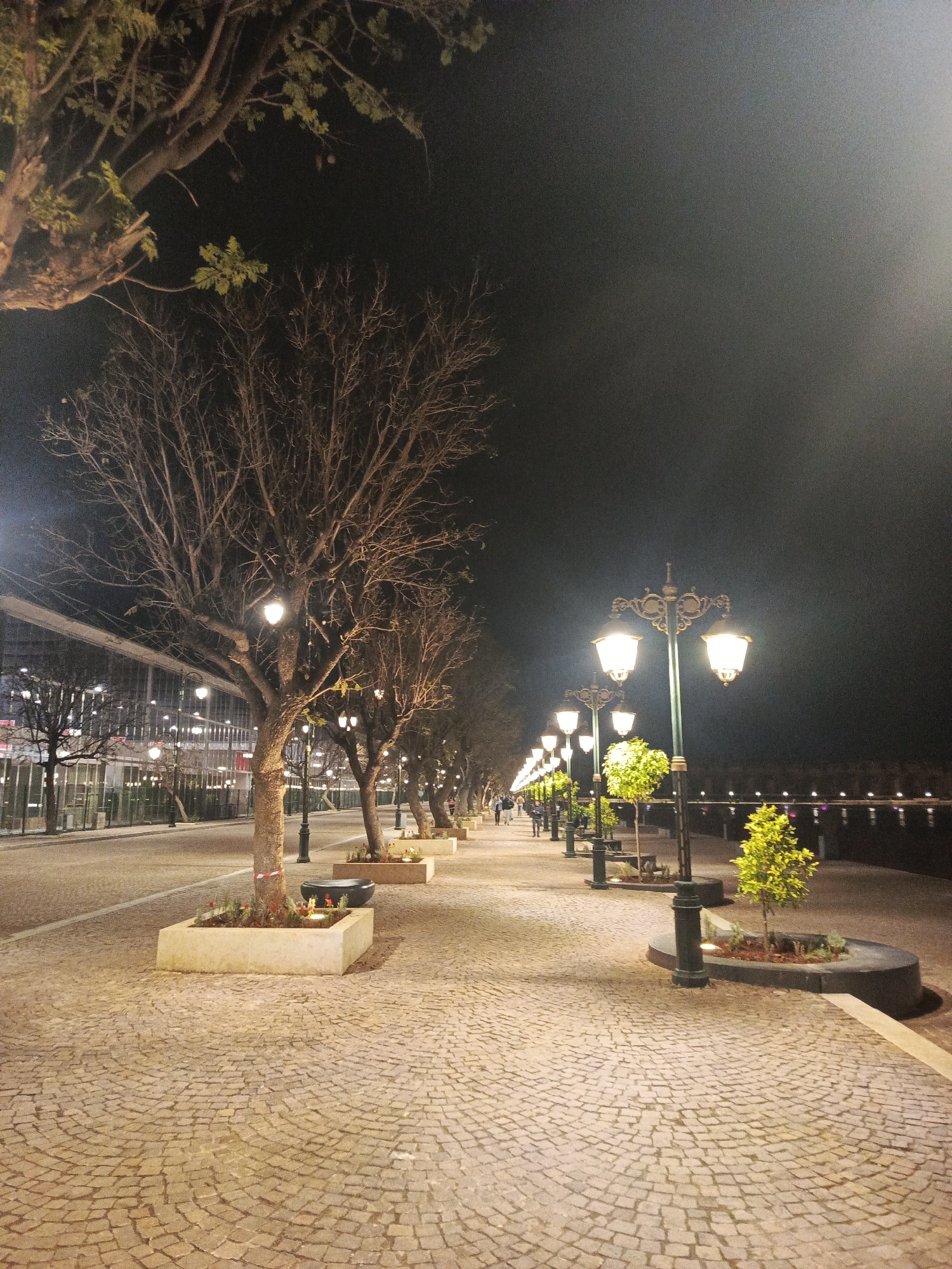 This image captures a night scene on a cobblestone pathway in Al Machouar – Stinia, Morocco. The pathway is lined with trees planted in concrete or stone planters, and classic lampposts illuminate the area. The trees near the camera are bare-branched, while some further down the path have foliage. In the background, a body of water reflects distant lights, and a building with a modern facade is partially visible on the left. Several people are walking in the distance. The sky is dark, suggesting a late hour.