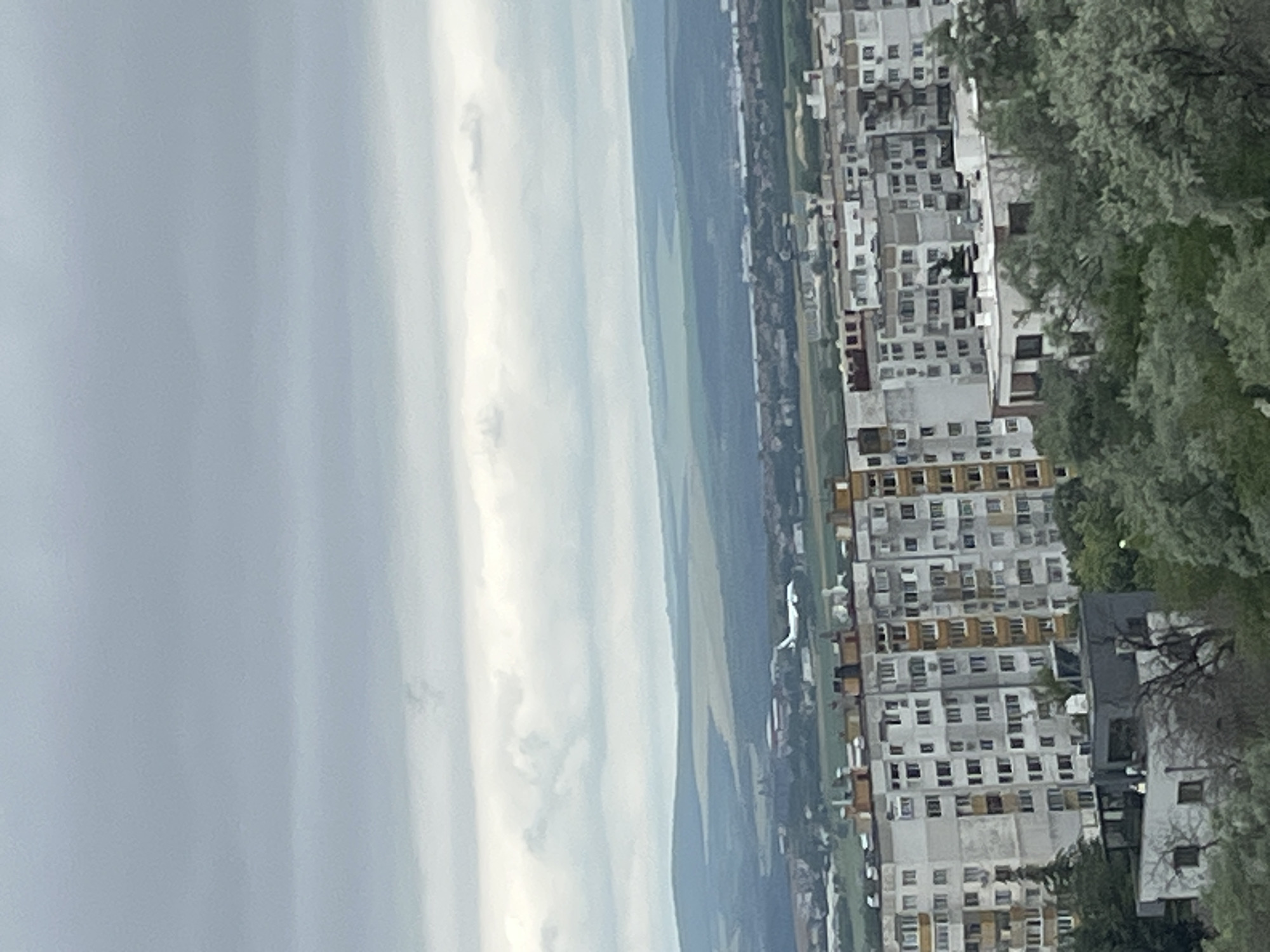 An aerial view captures a residential district in Varna, Bulgaria, characterized by a cluster of multi-story apartment buildings. The buildings are predominantly white and gray with visible balconies and window arrangements. In the middle ground, an airplane is depicted in mid-flight, appearing as a white shape against the overcast sky. The background features rolling hills and a muted landscape, suggesting a semi-urban or suburban environment on the outskirts of the city. The foreground is partially obscured by lush green trees, indicating a presence of natural elements within the urban setting. The overall atmosphere is subdued due to the cloudy sky.