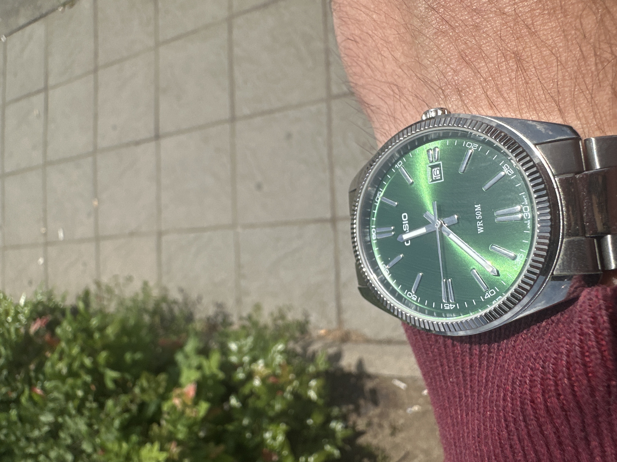 A wrist with a Casio watch is prominently featured against a backdrop of blurred greenery and light-colored concrete. The watch has a silver band and casing, a green face, and displays the date as "16". The wrist is adorned with a maroon knitted sleeve. The concrete shows a grid-like pattern suggesting paving stones. The greenery appears to be a bush or shrub, slightly out of focus. There is no information provided about the location. Therefore, I cannot identify if this image was taken in the city of Sofia, Bulgaria.