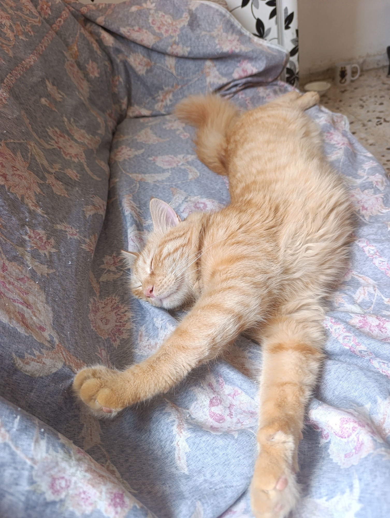 An orange tabby cat is sleeping on a bed with a floral patterned comforter. The cat is stretched out on its side, with its eyes closed and its front paws extended. The comforter is blue with pink and white flowers. The background is blurred but appears to be a room with a tiled floor and a white cabinet. There are no people visible in the image.