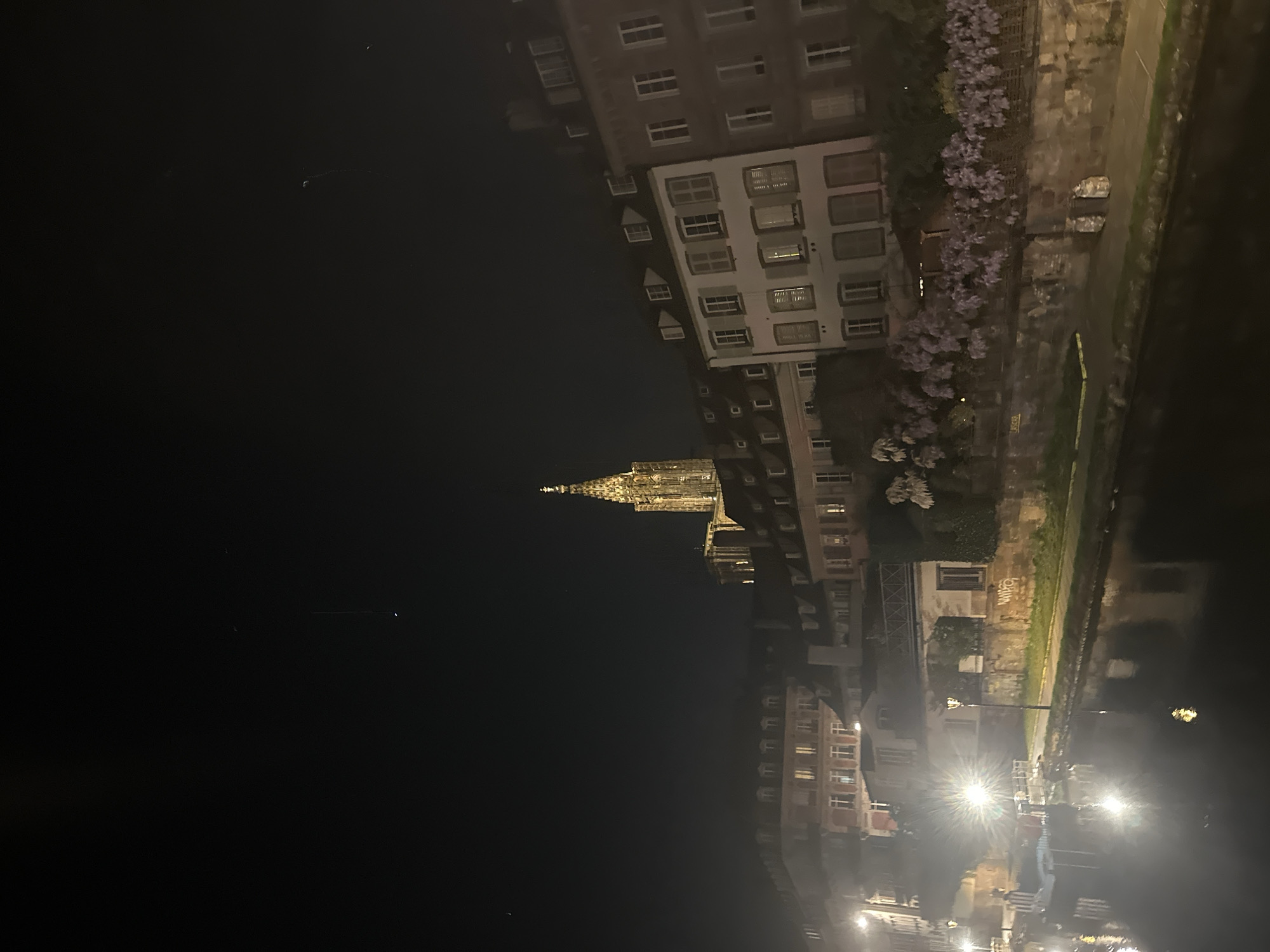 The image shows a night view in Strasbourg, France. The Strasbourg Cathedral (Cathédrale Notre-Dame de Strasbourg) is visible, illuminated against the dark sky. Buildings line a waterway, likely the Ill River, with reflections visible in the water. Trees with purple flowers are seen along the riverbank, and streetlights illuminate the scene. There are no people visible in the image.